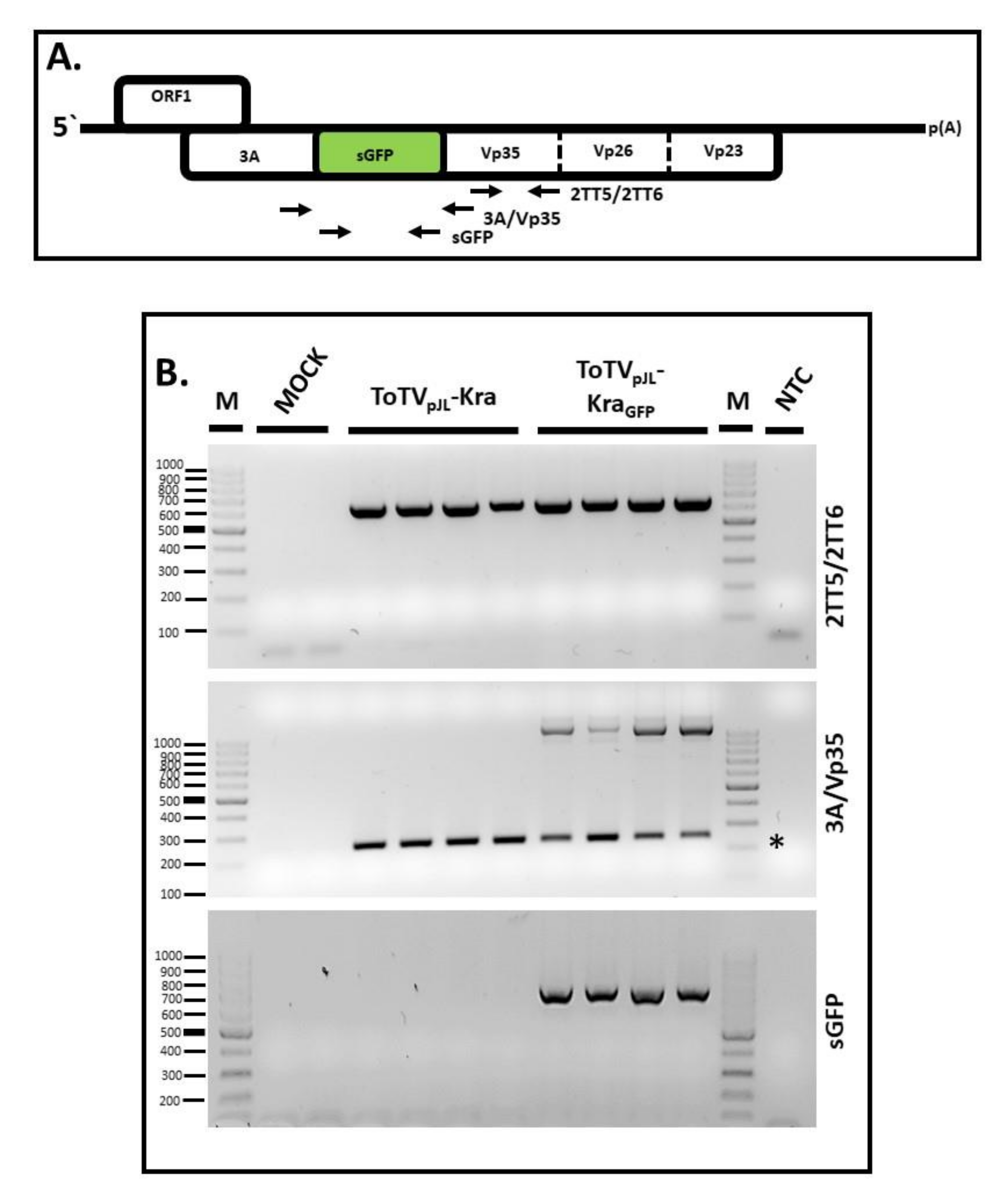 Viruses 12 01195 g003 Viruses 12 01195 g003