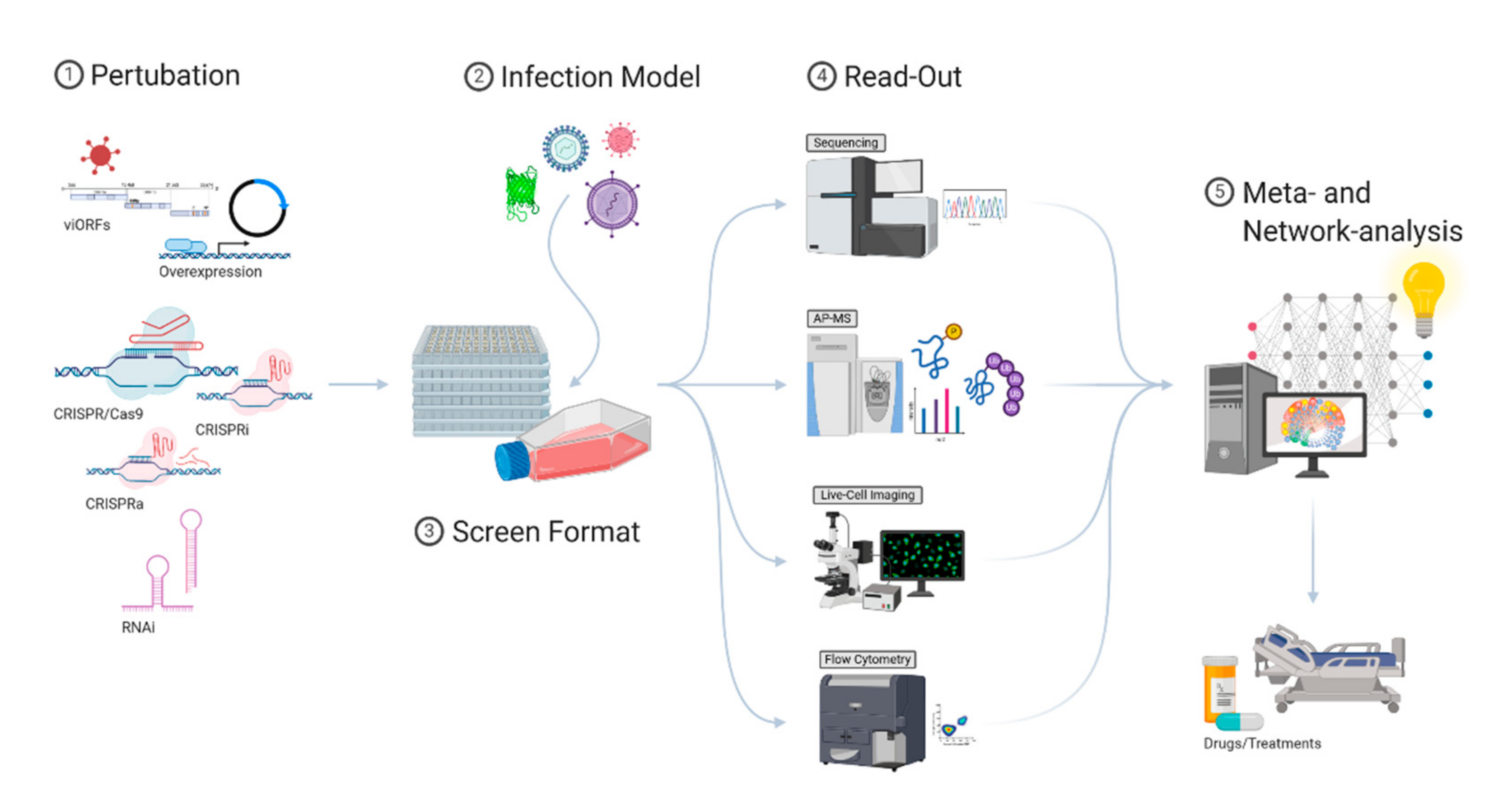 Viruses 12 01196 g002
