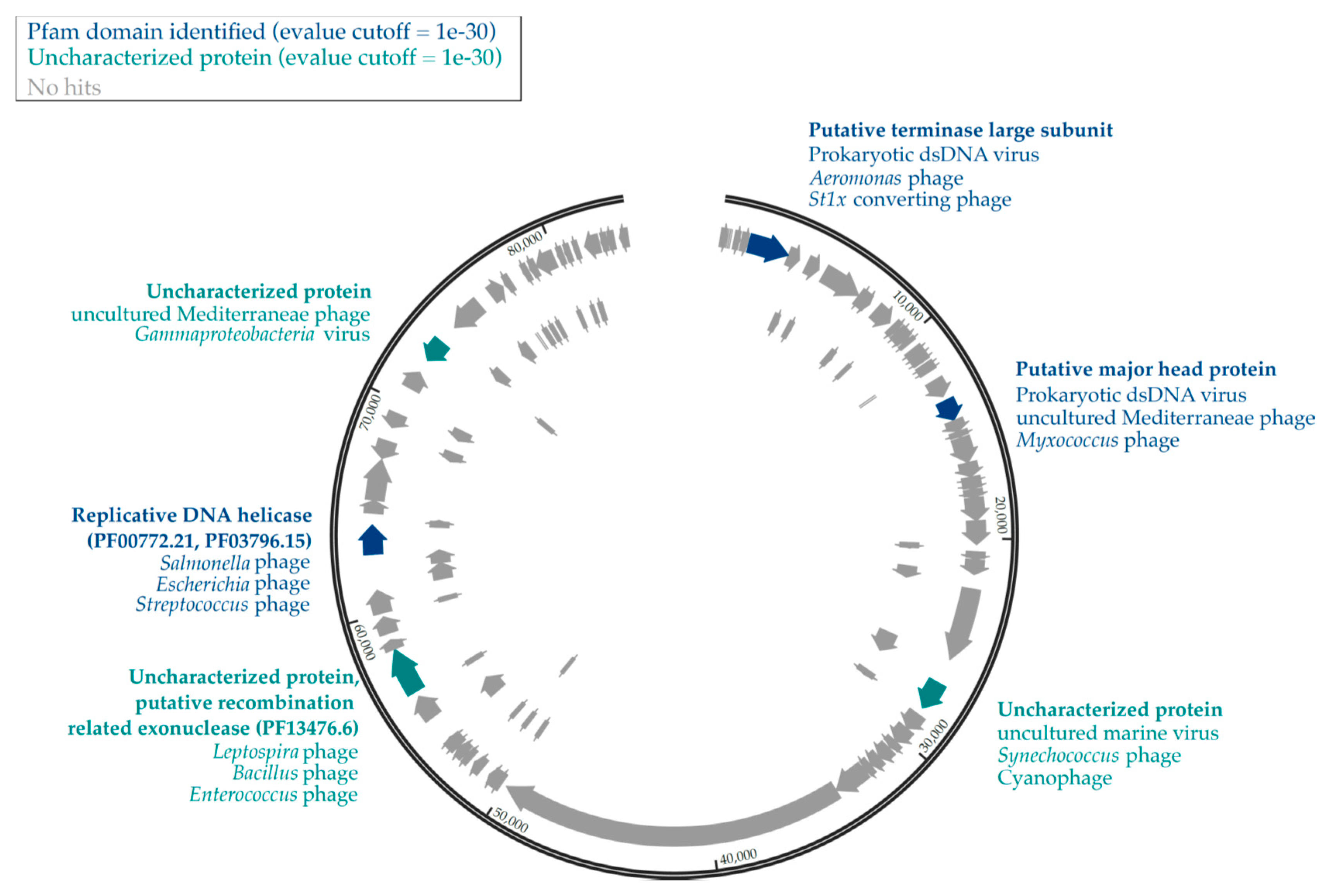 Viruses 12 01204 g002