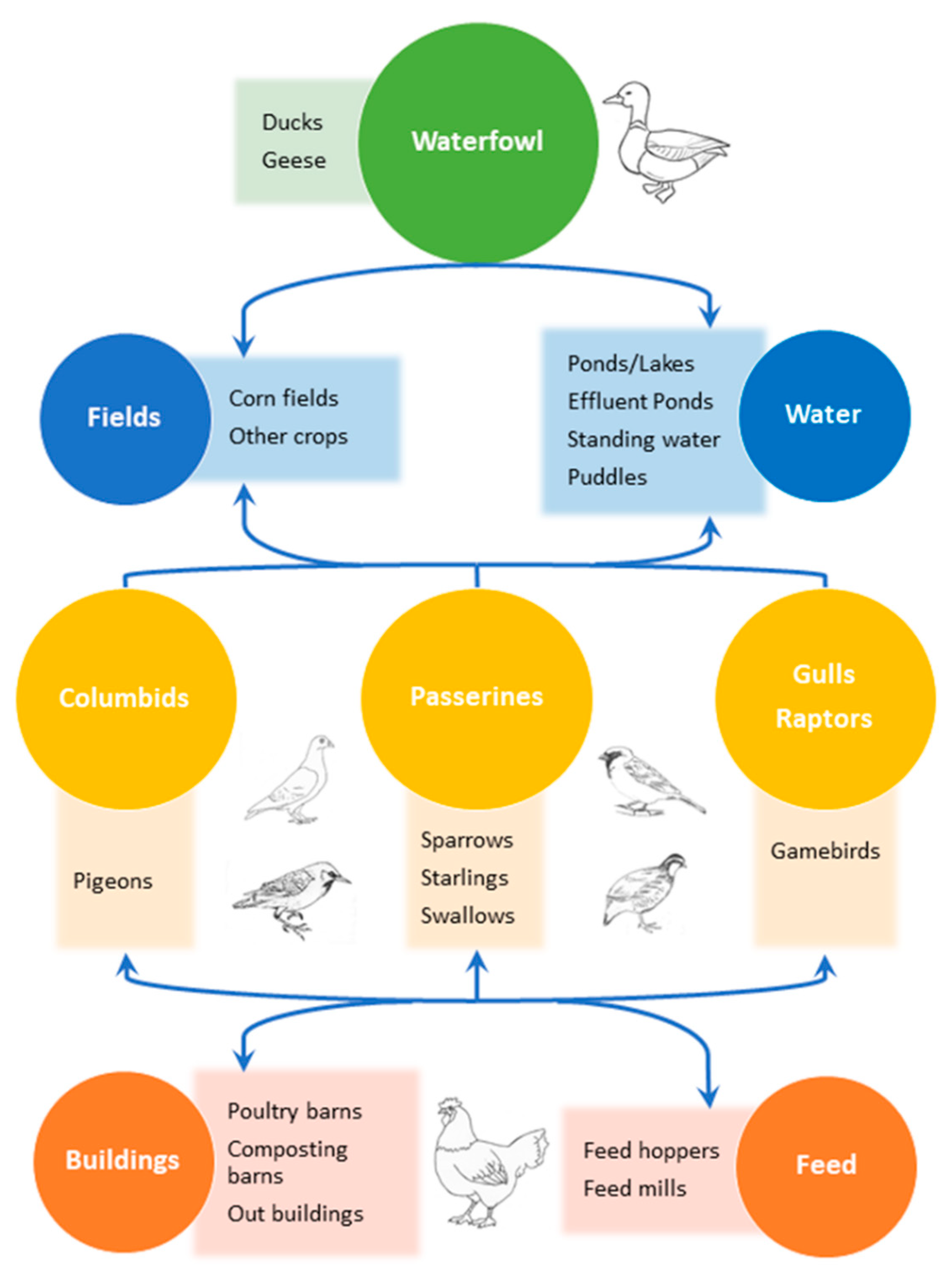 Viruses 12 01209 g001