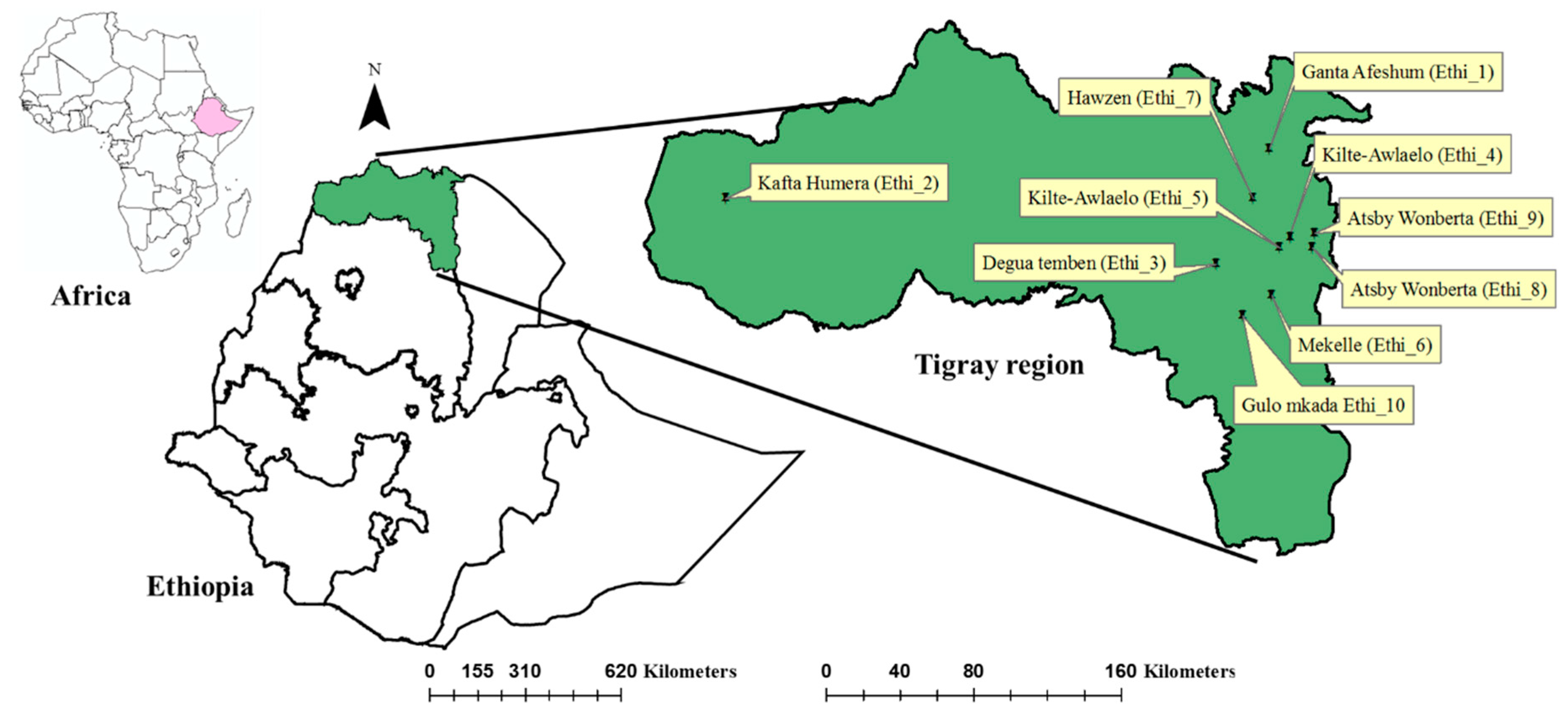 Viruses 12 01218 g001 Viruses 12 01218 g001