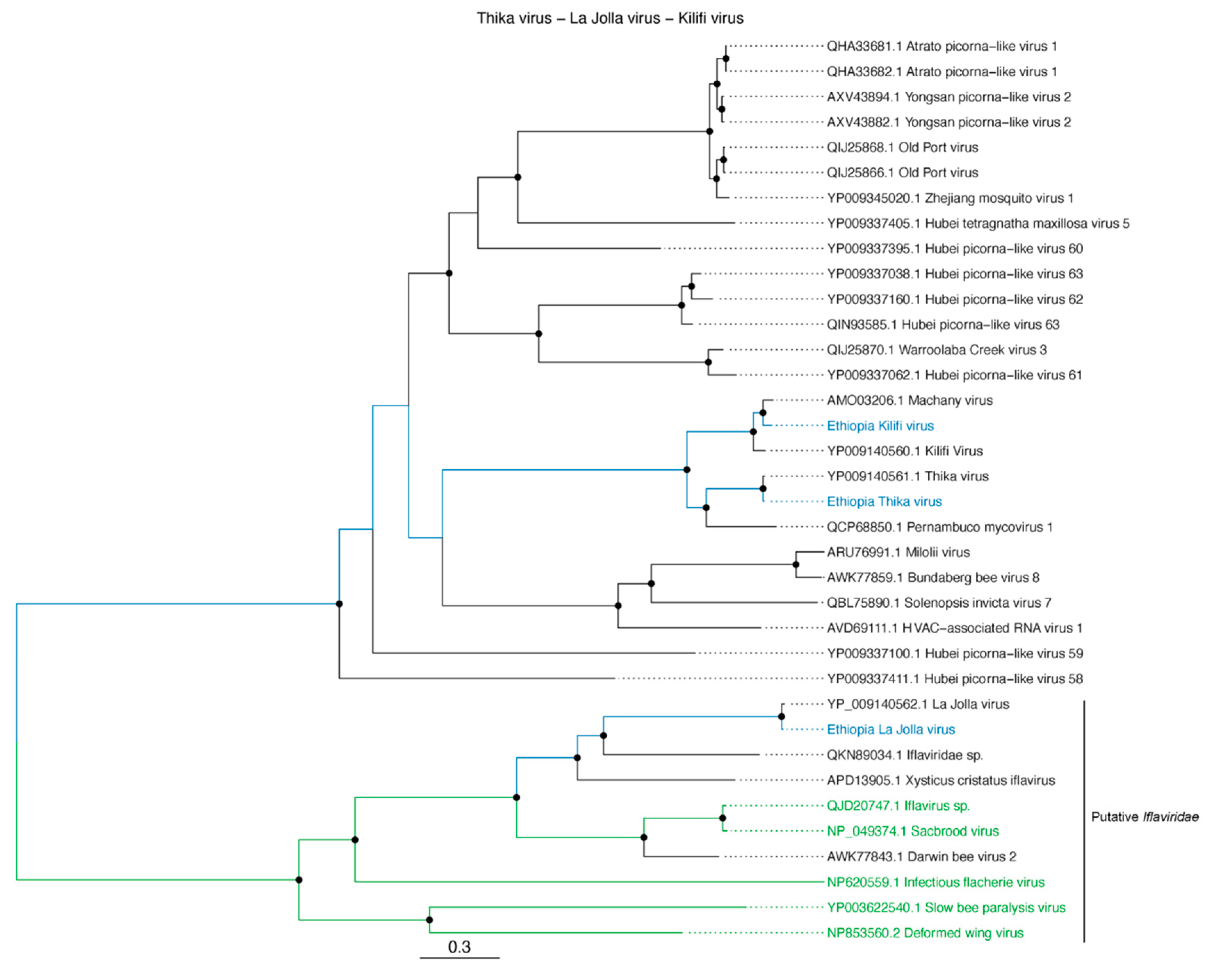 Viruses 12 01218 g006 Viruses 12 01218 g006