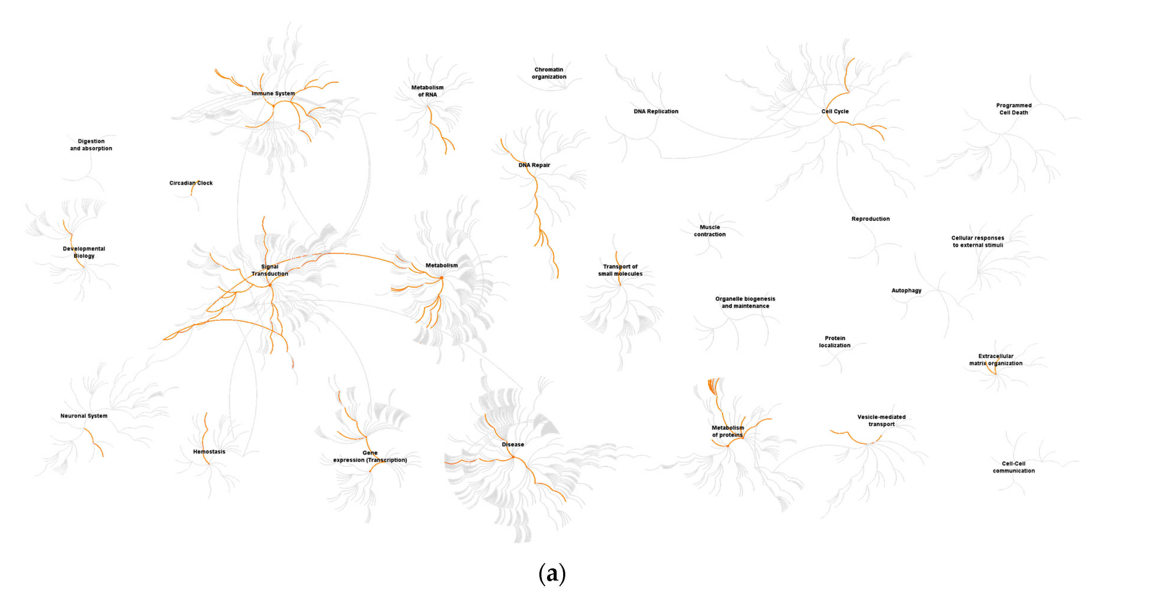 Viruses 12 01219 g004a