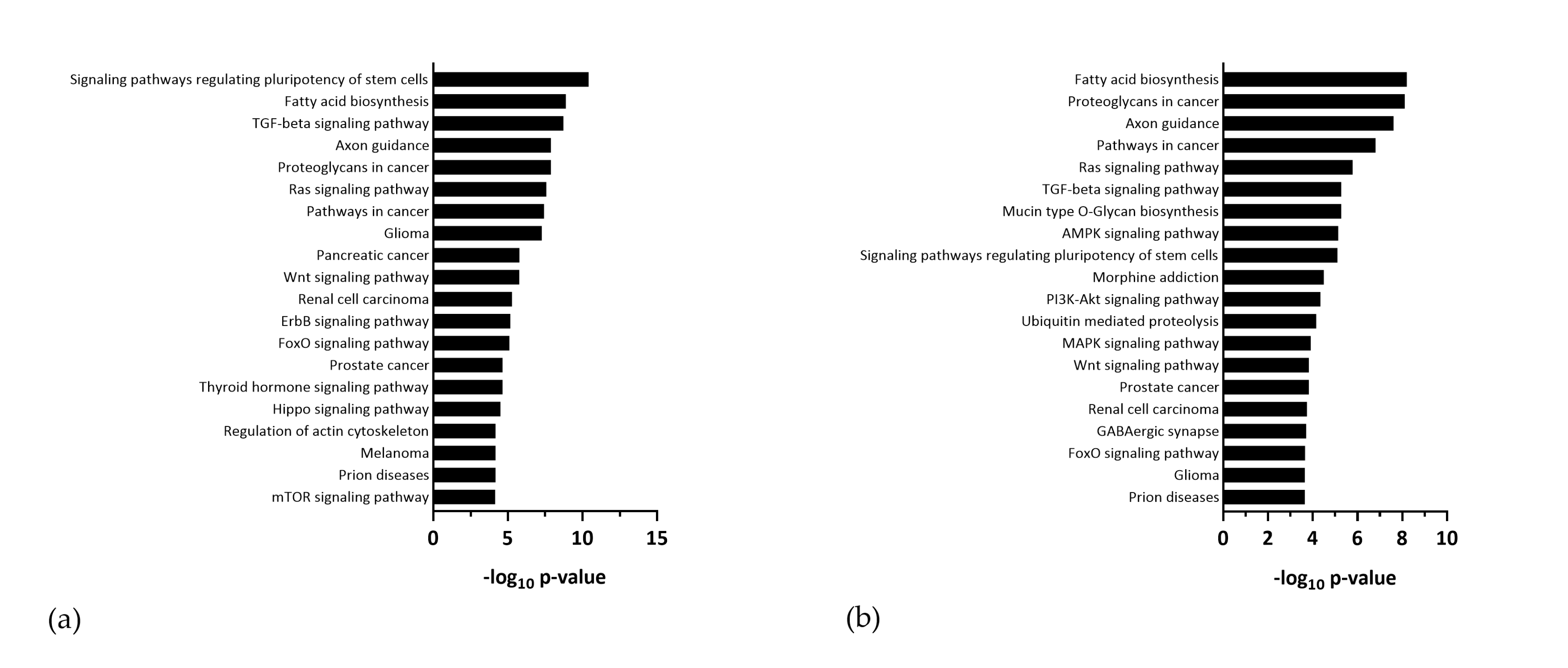 Viruses 12 01219 g008