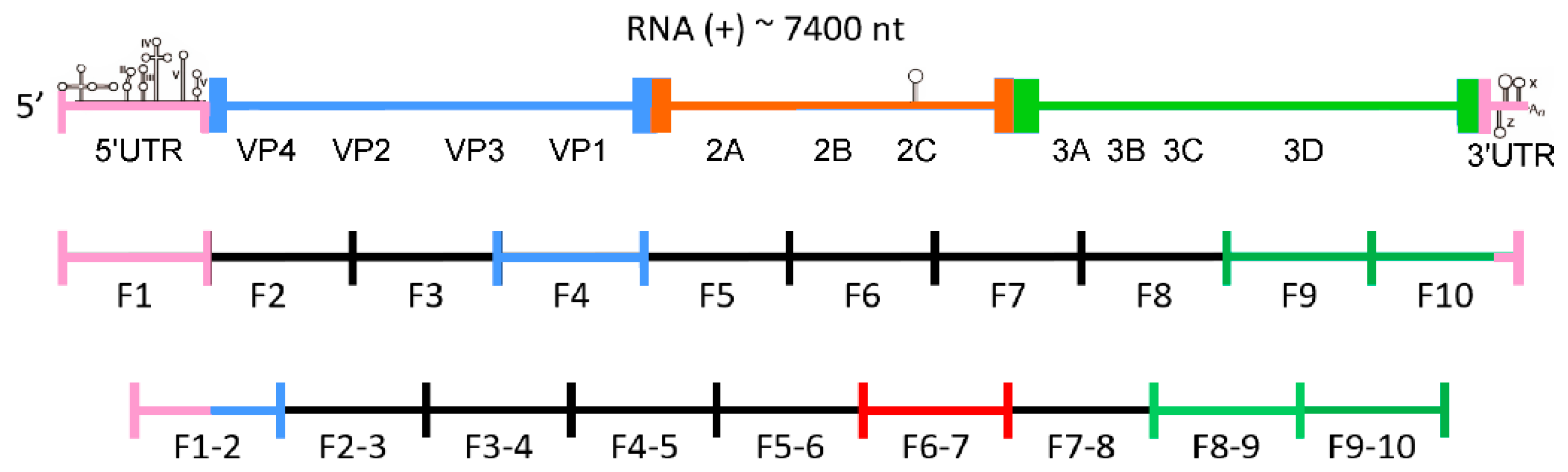 Viruses 12 01232 g001