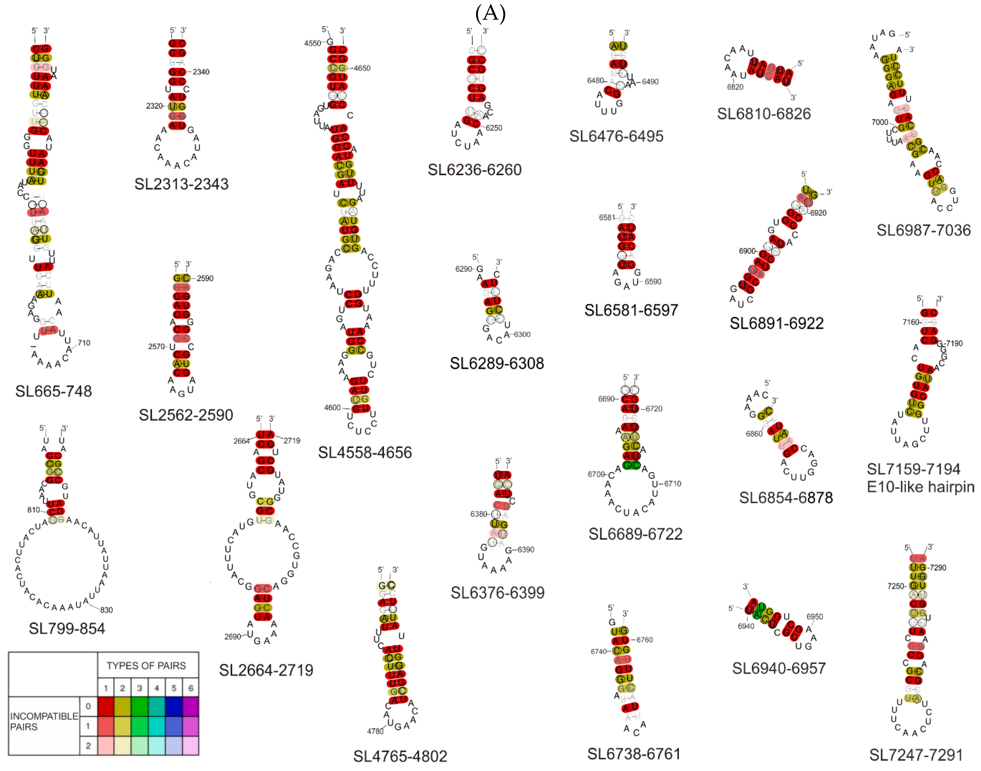 Viruses 12 01232 g004a