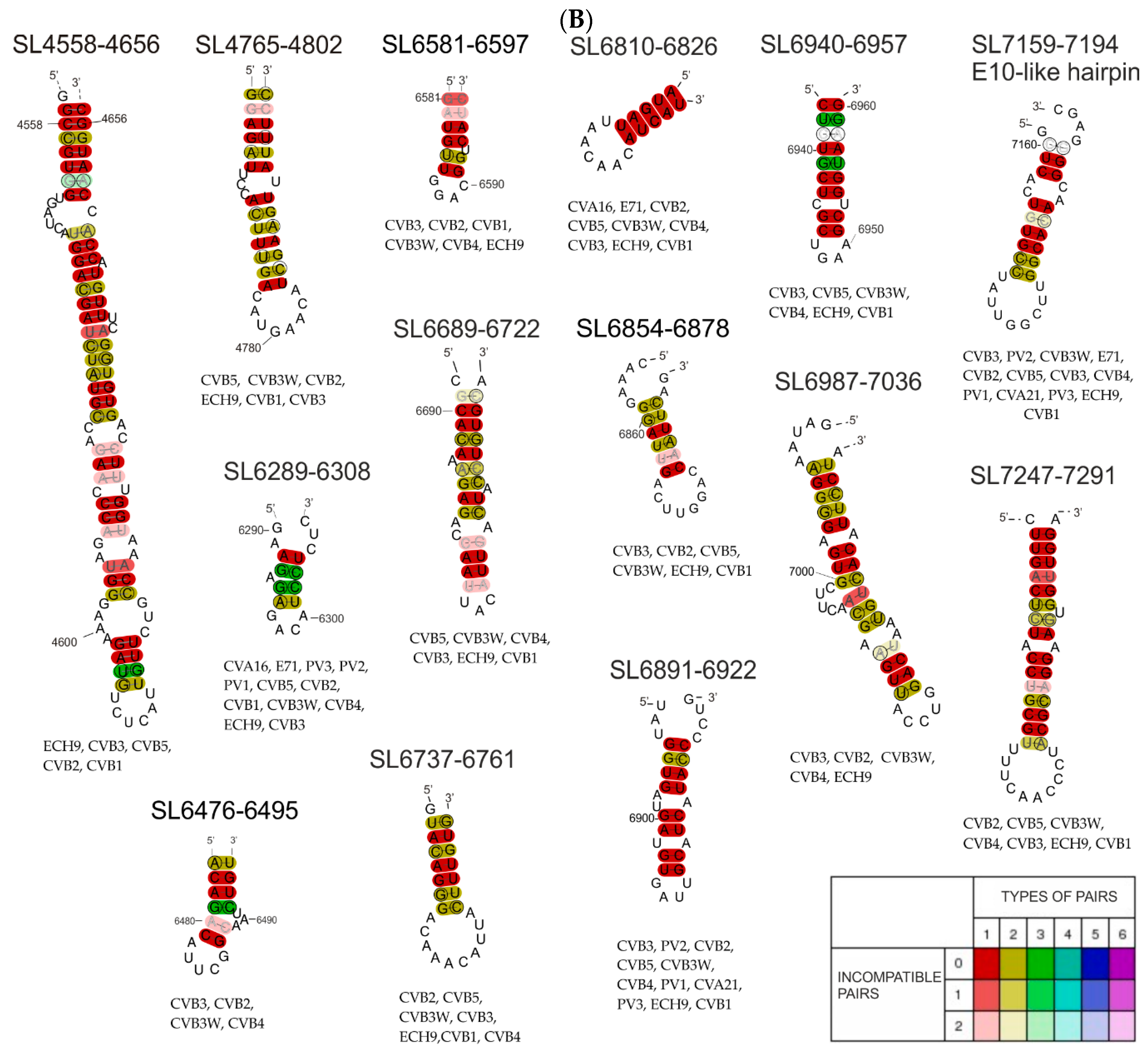 Viruses 12 01232 g004b
