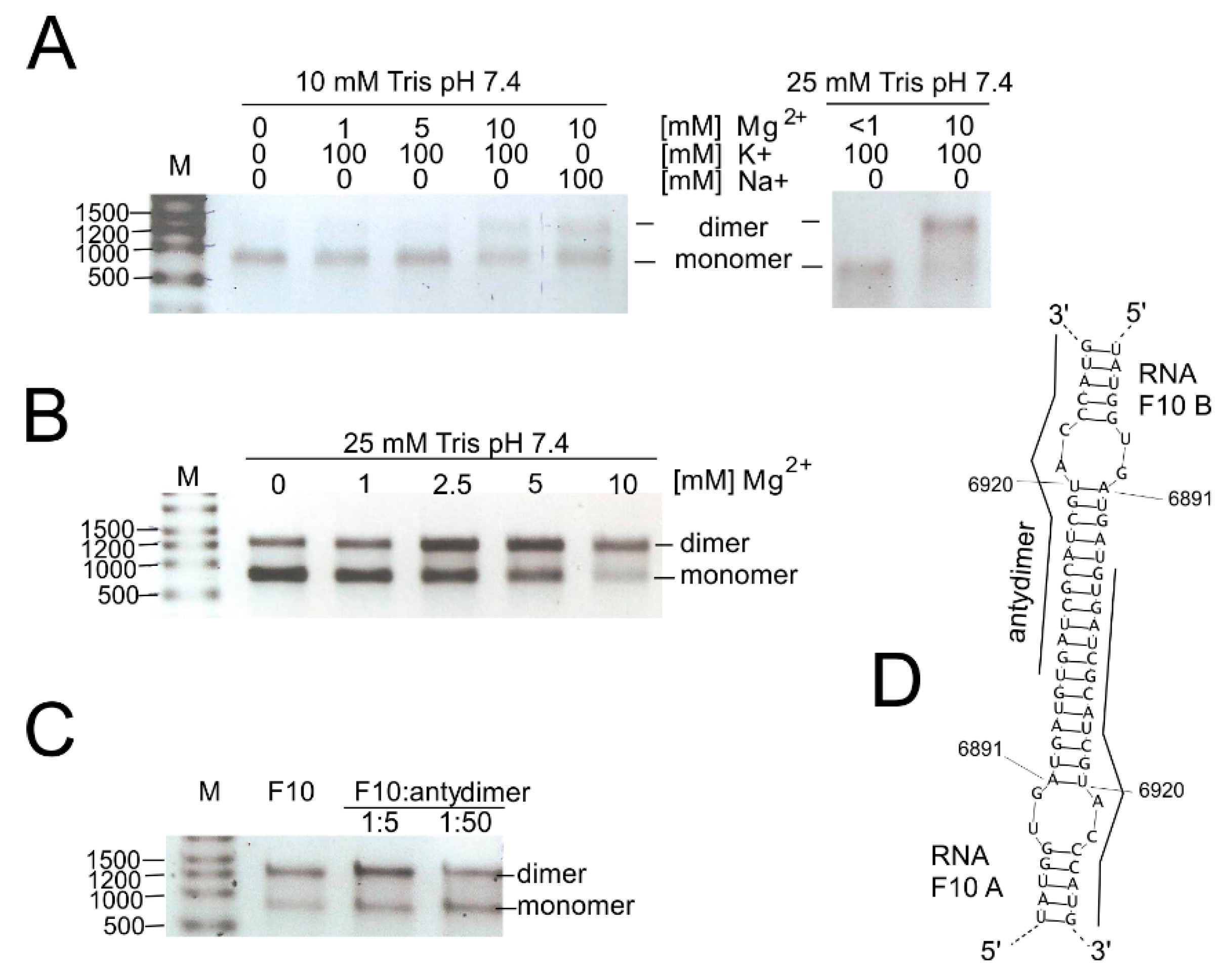 Viruses 12 01232 g005