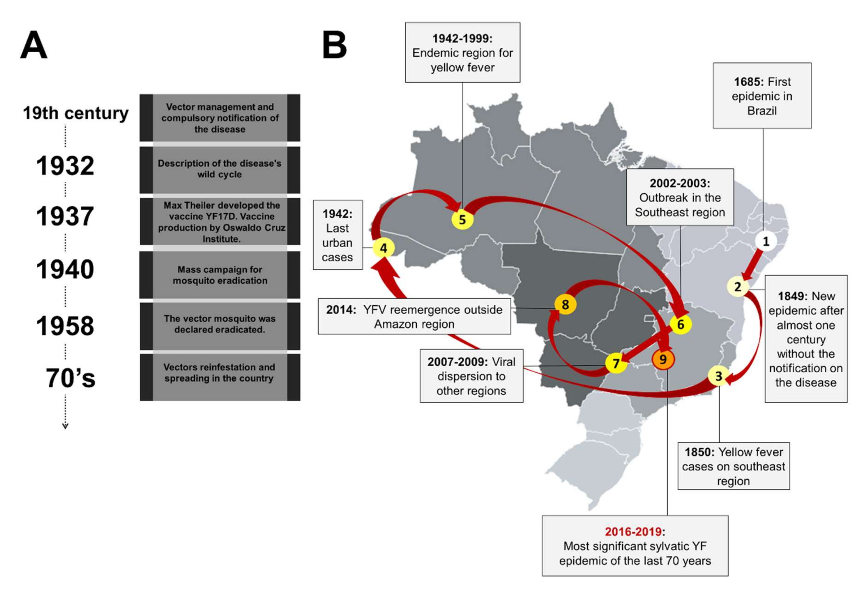 Viruses 12 01233 g001