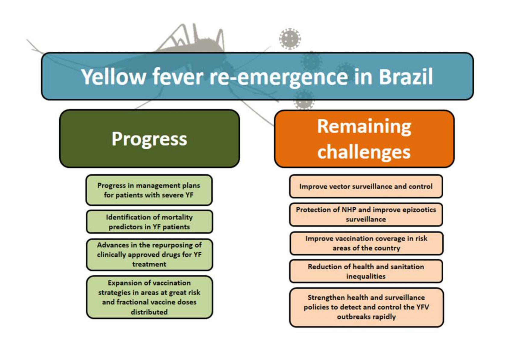 Viruses 12 01233 g004