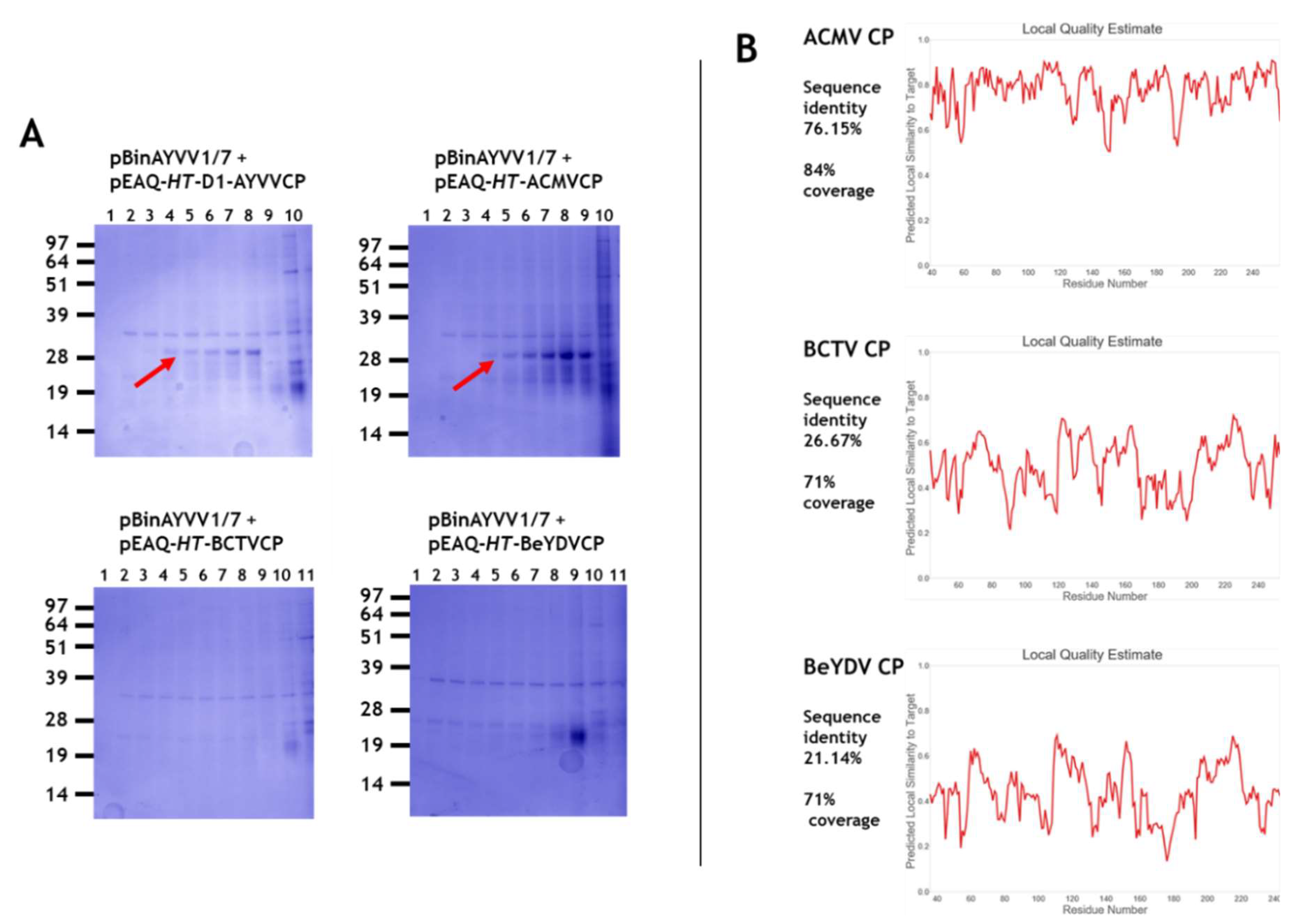 Viruses 12 01235 g002