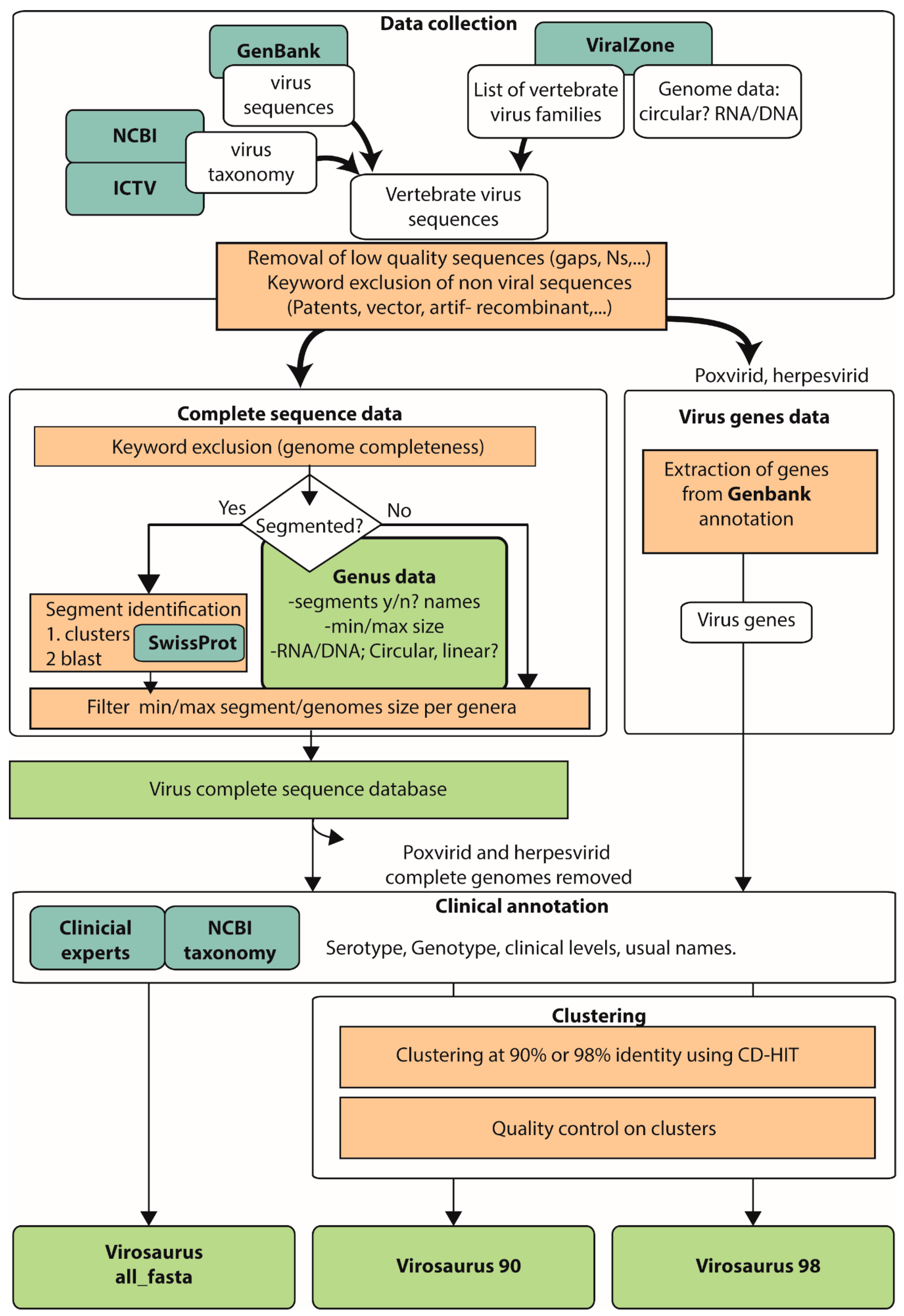 Viruses 12 01248 g001
