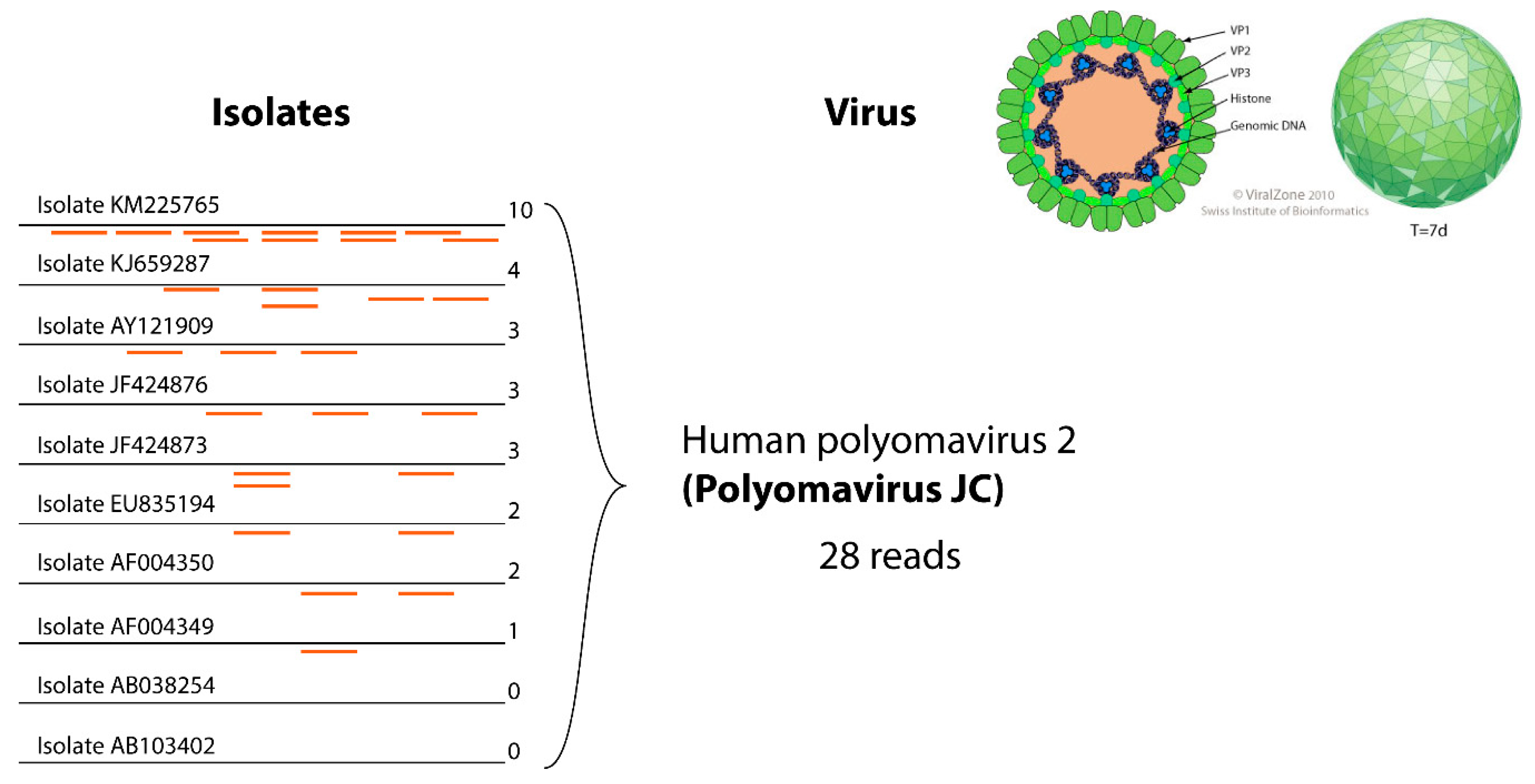 Viruses 12 01248 g003
