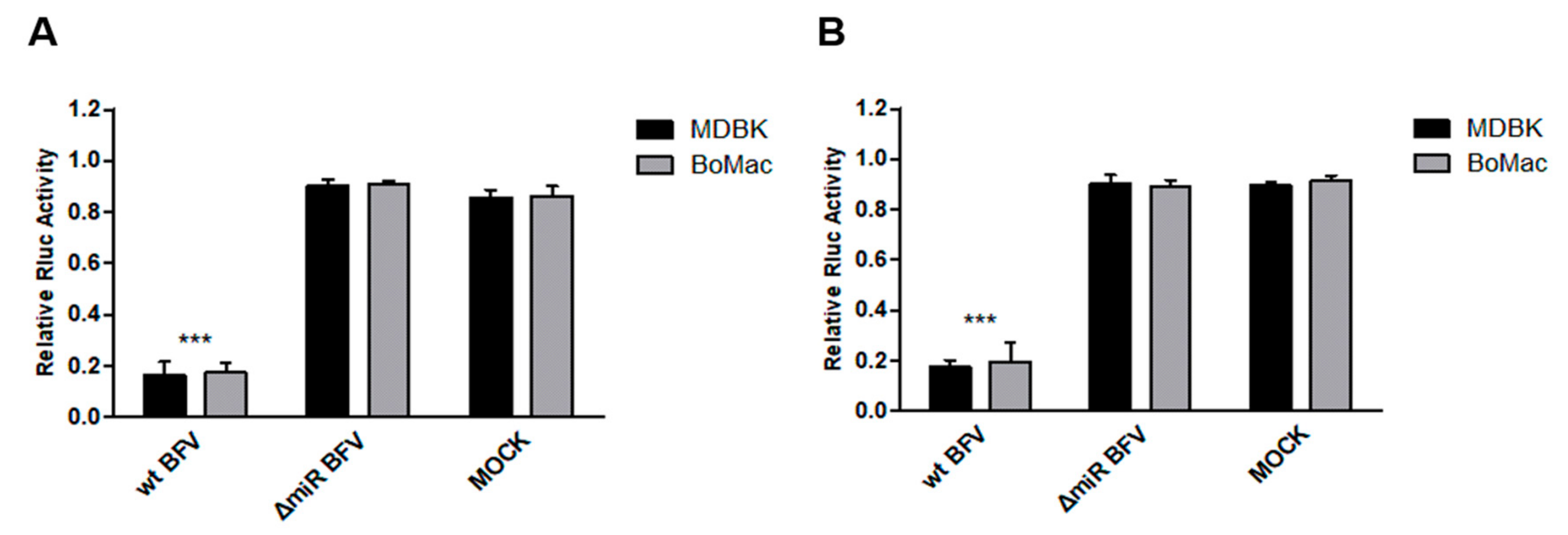Viruses 12 01250 g005