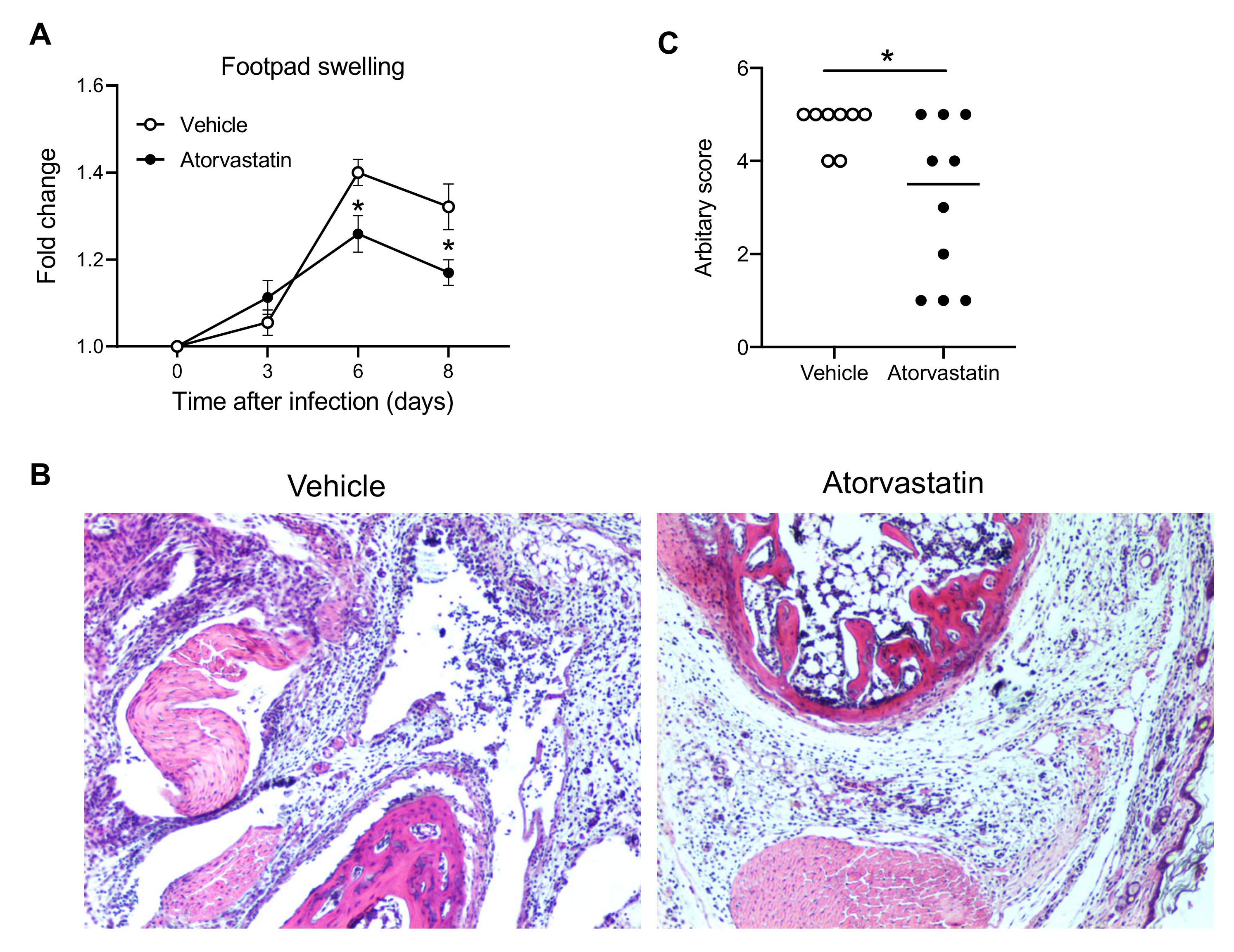 Viruses 12 01252 g002