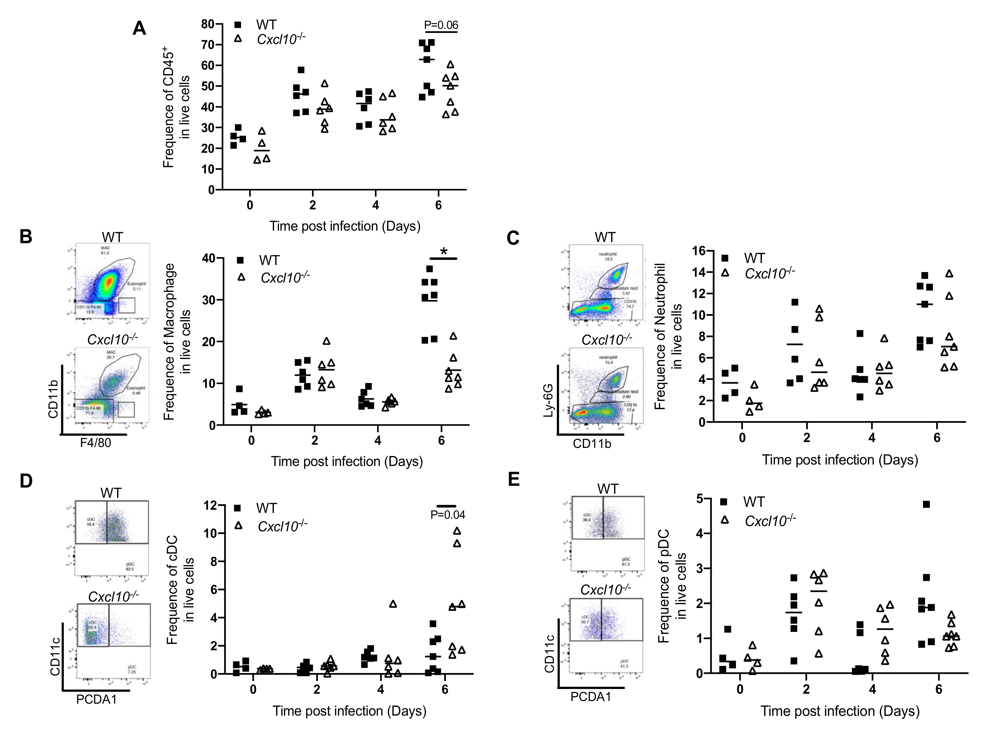 Viruses 12 01252 g004