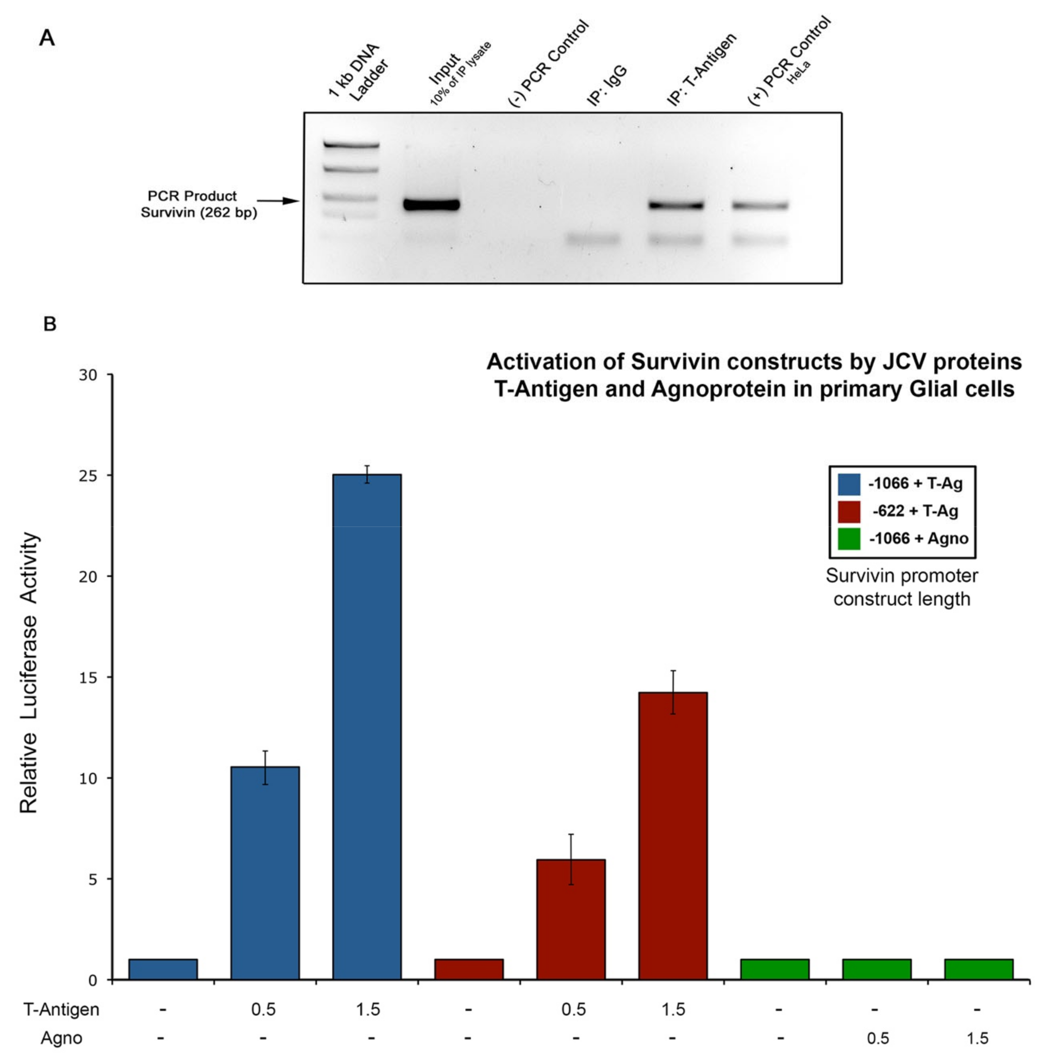 Viruses 12 01253 g002 Viruses 12 01253 g002