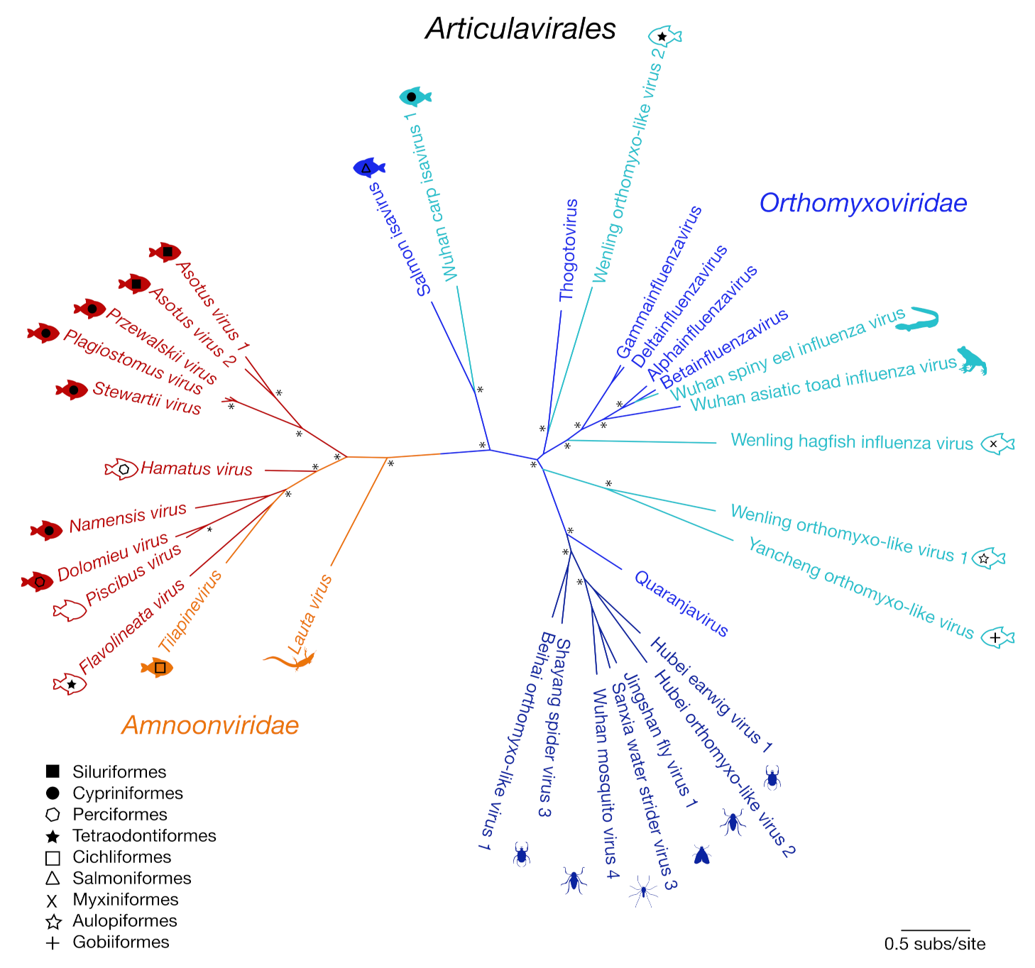 Viruses 12 01254 g002