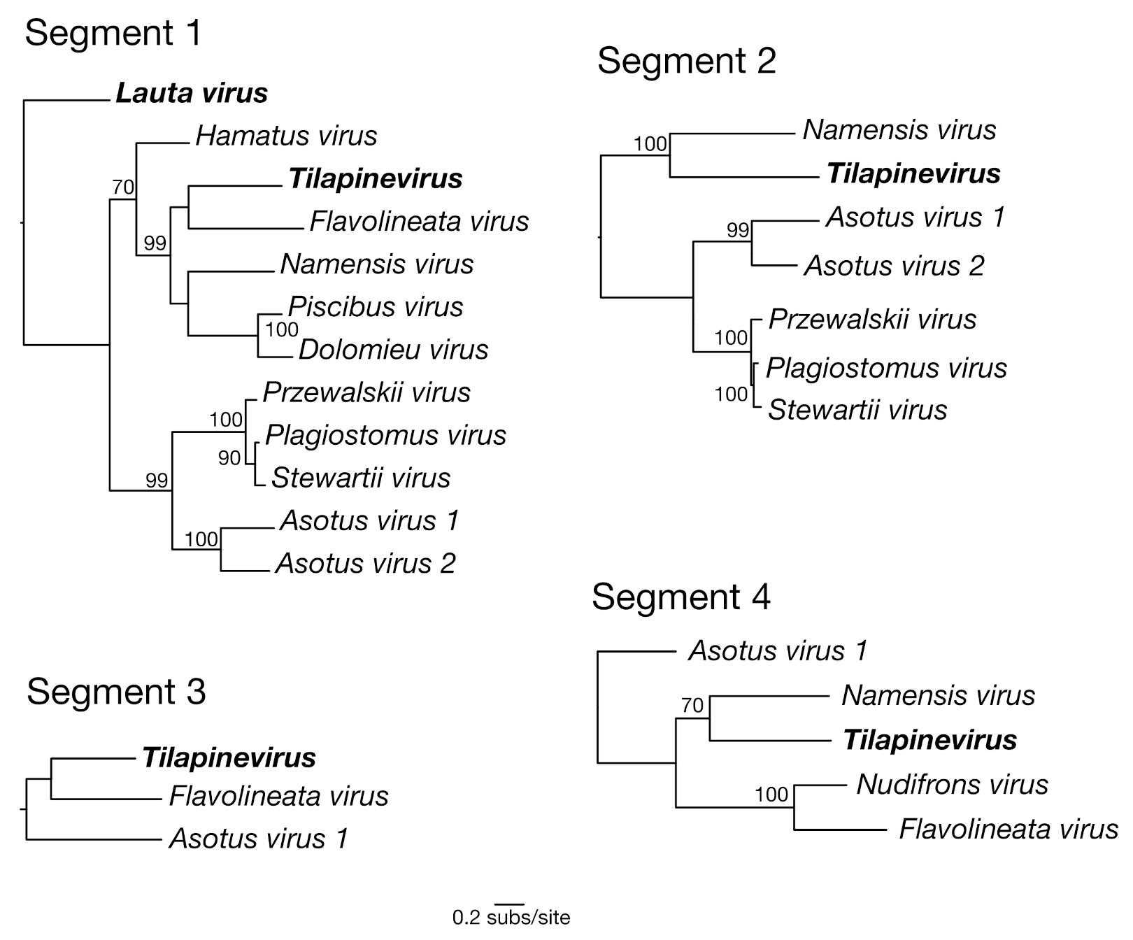Viruses 12 01254 g003