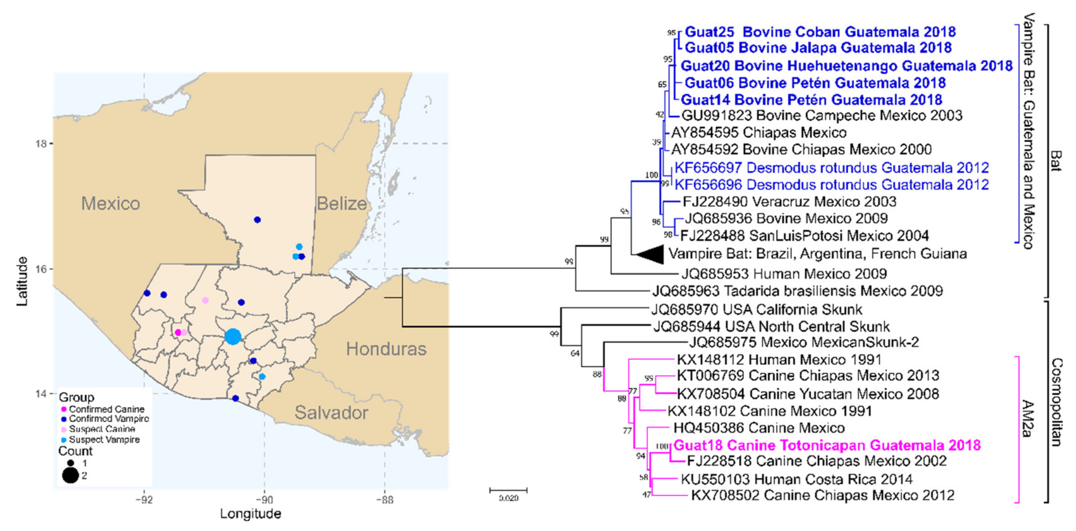 Viruses 12 01255 g004 Viruses 12 01255 g004
