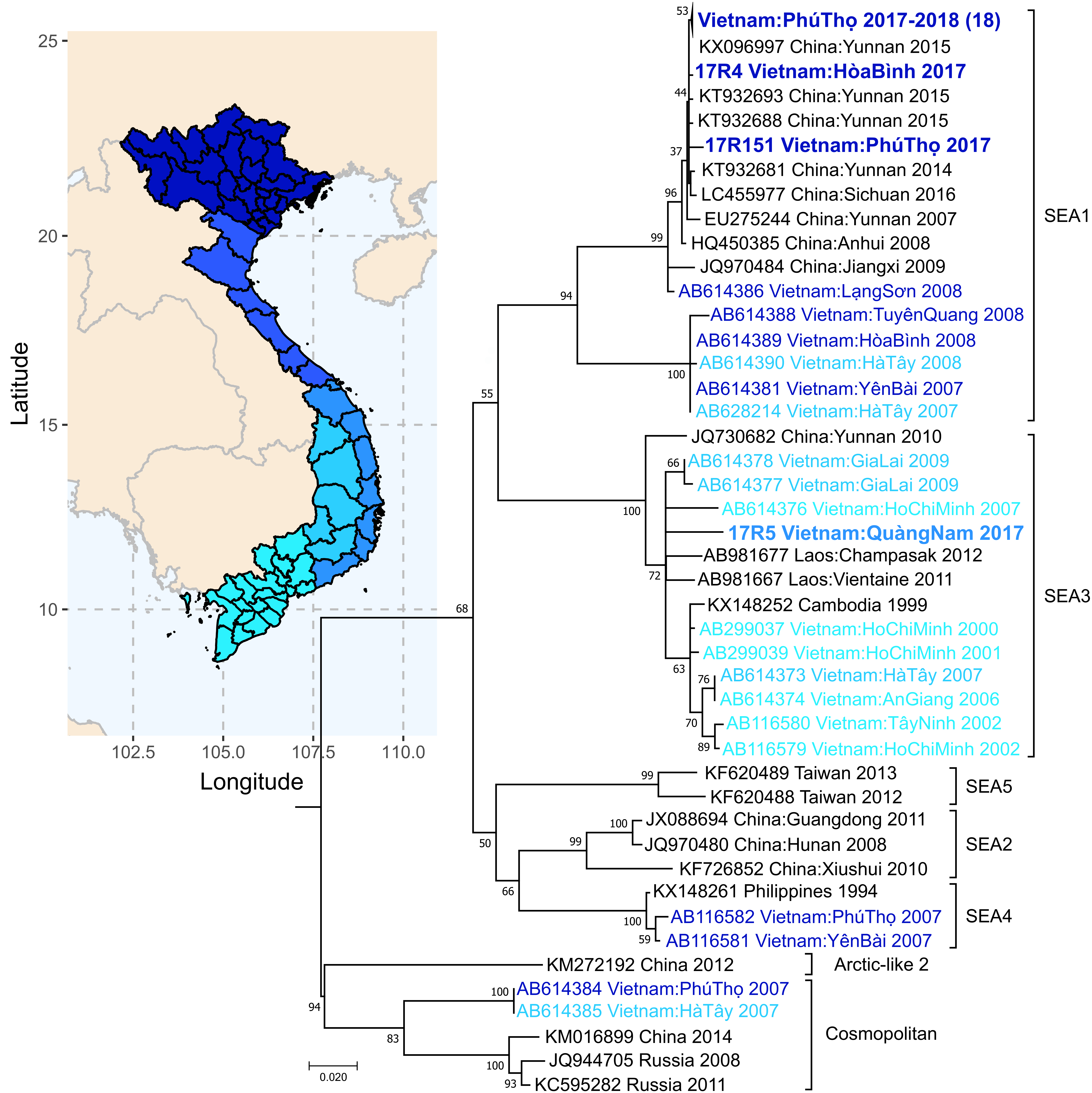 Viruses 12 01255 g005 Viruses 12 01255 g005