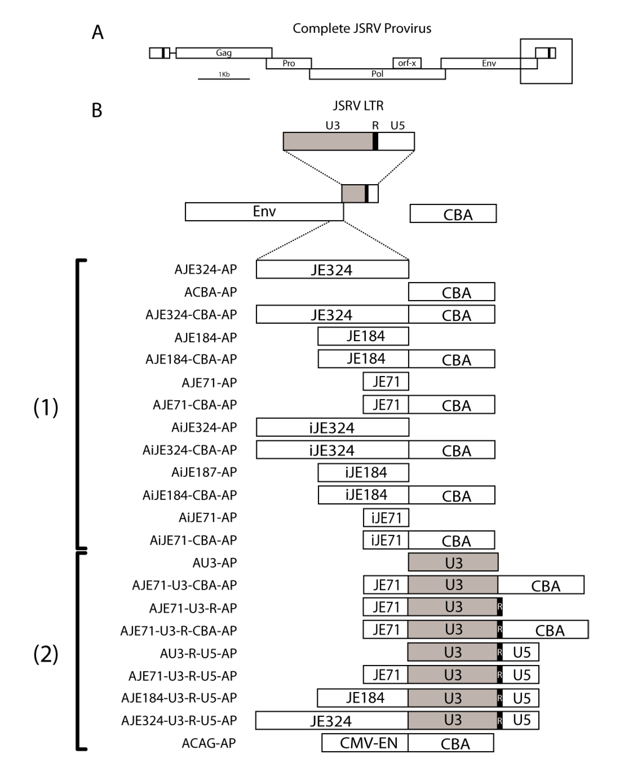 Viruses 12 01266 g001