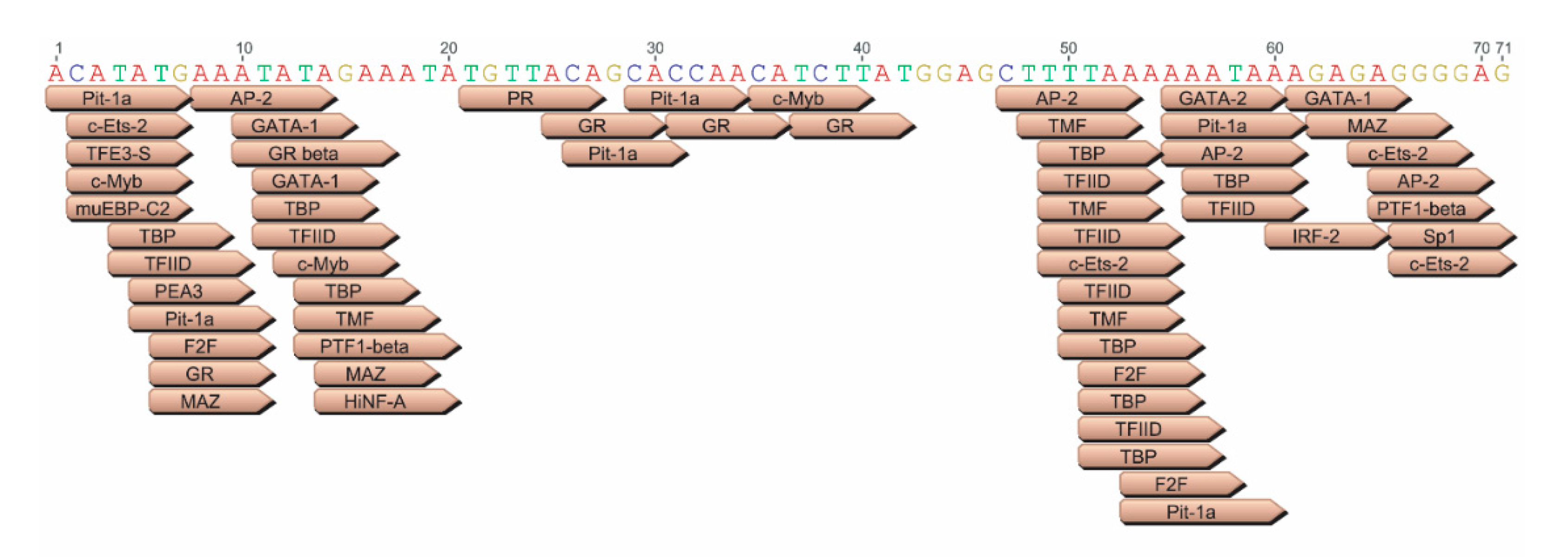 Viruses 12 01266 g008