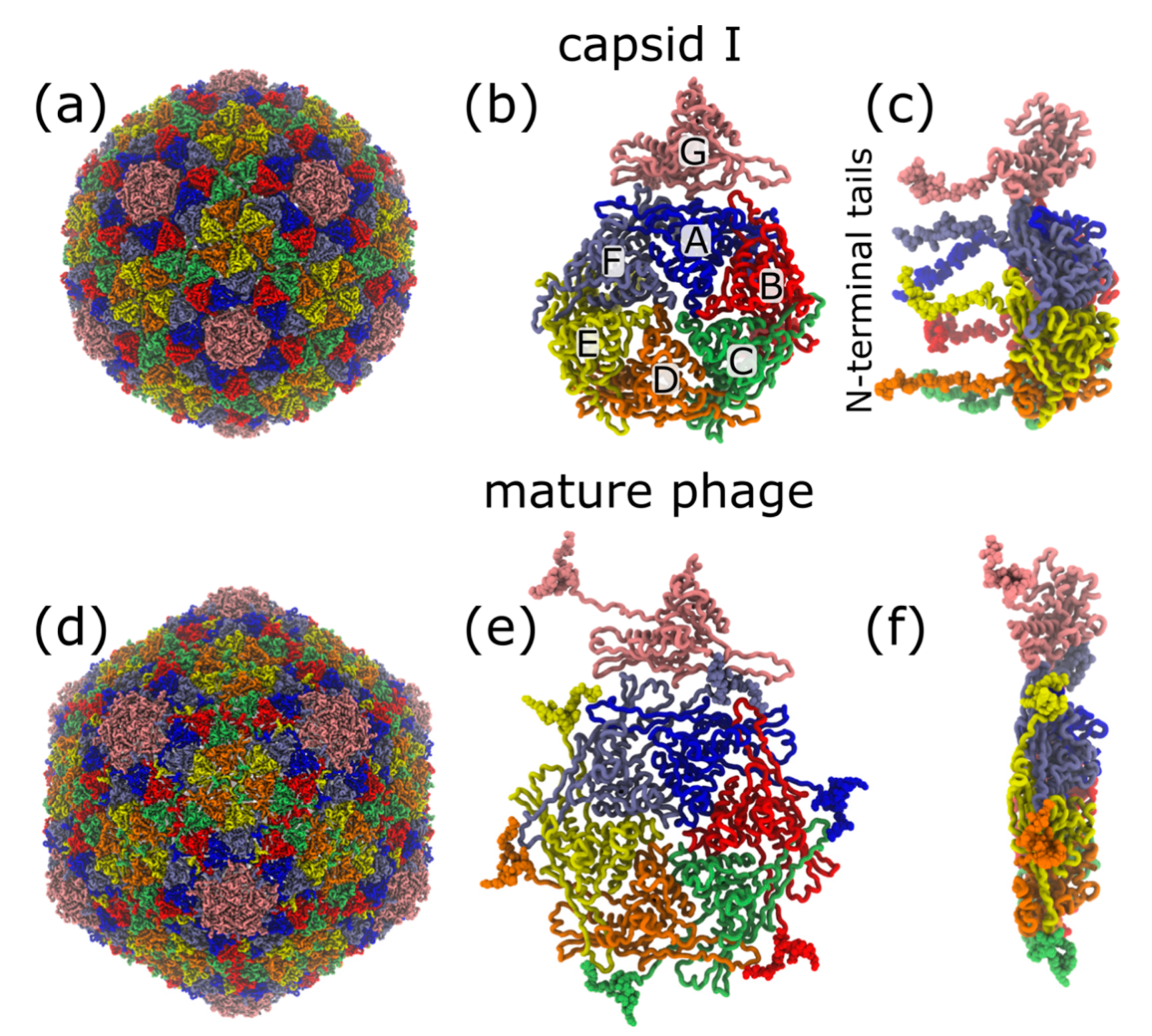 Viruses 12 01273 g001