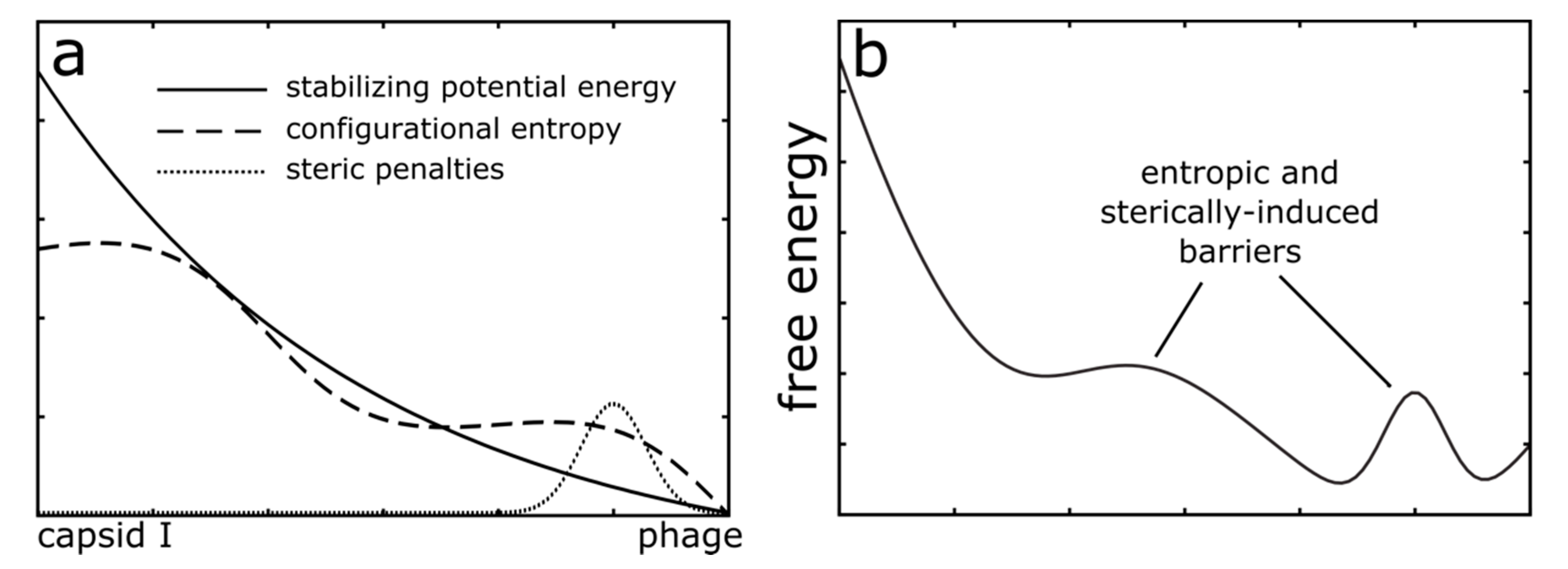 Viruses 12 01273 g002