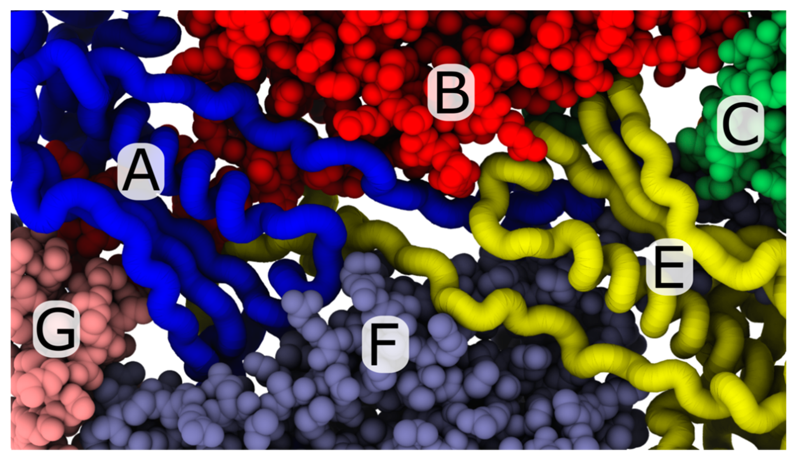 Viruses 12 01273 g005