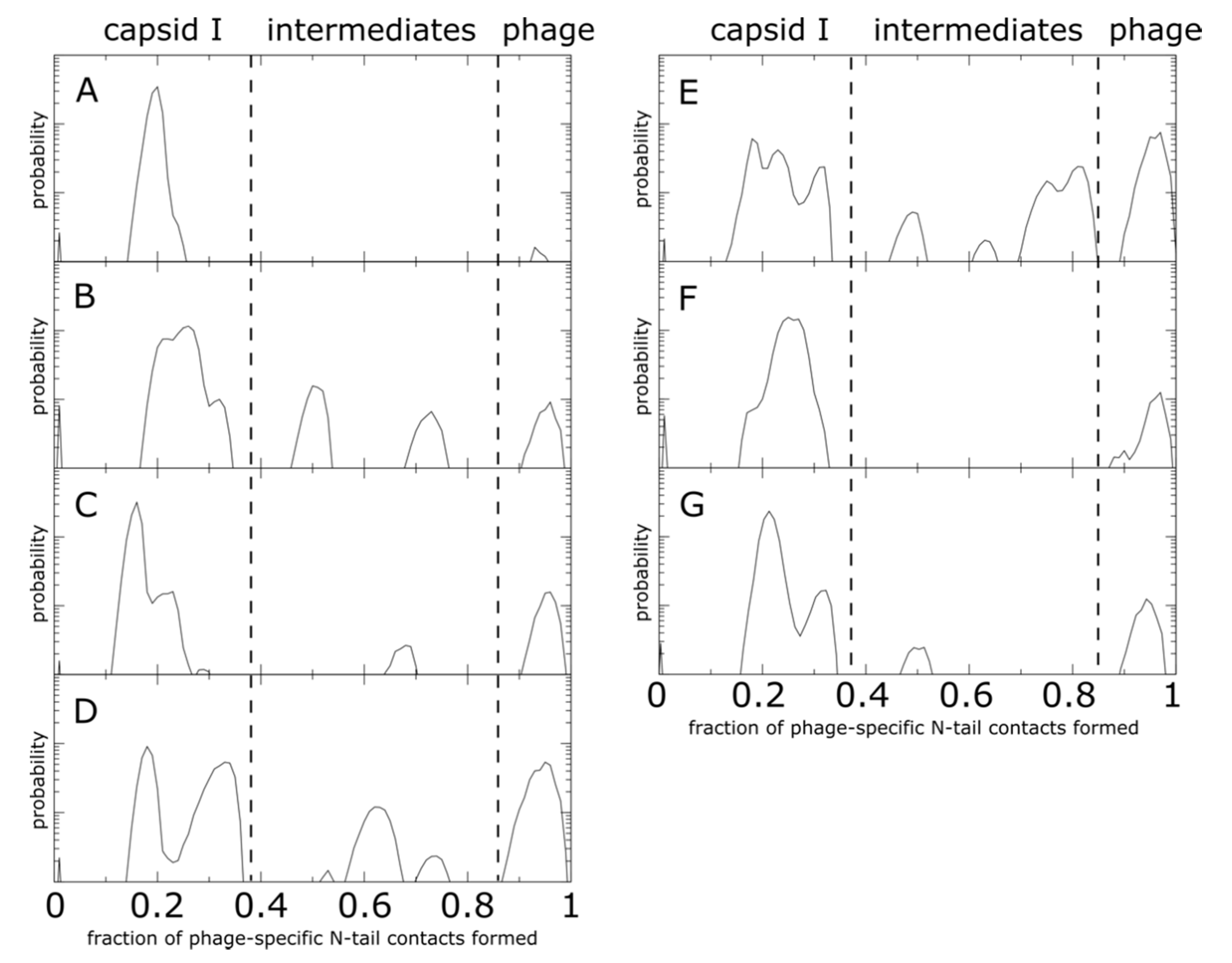 Viruses 12 01273 g007