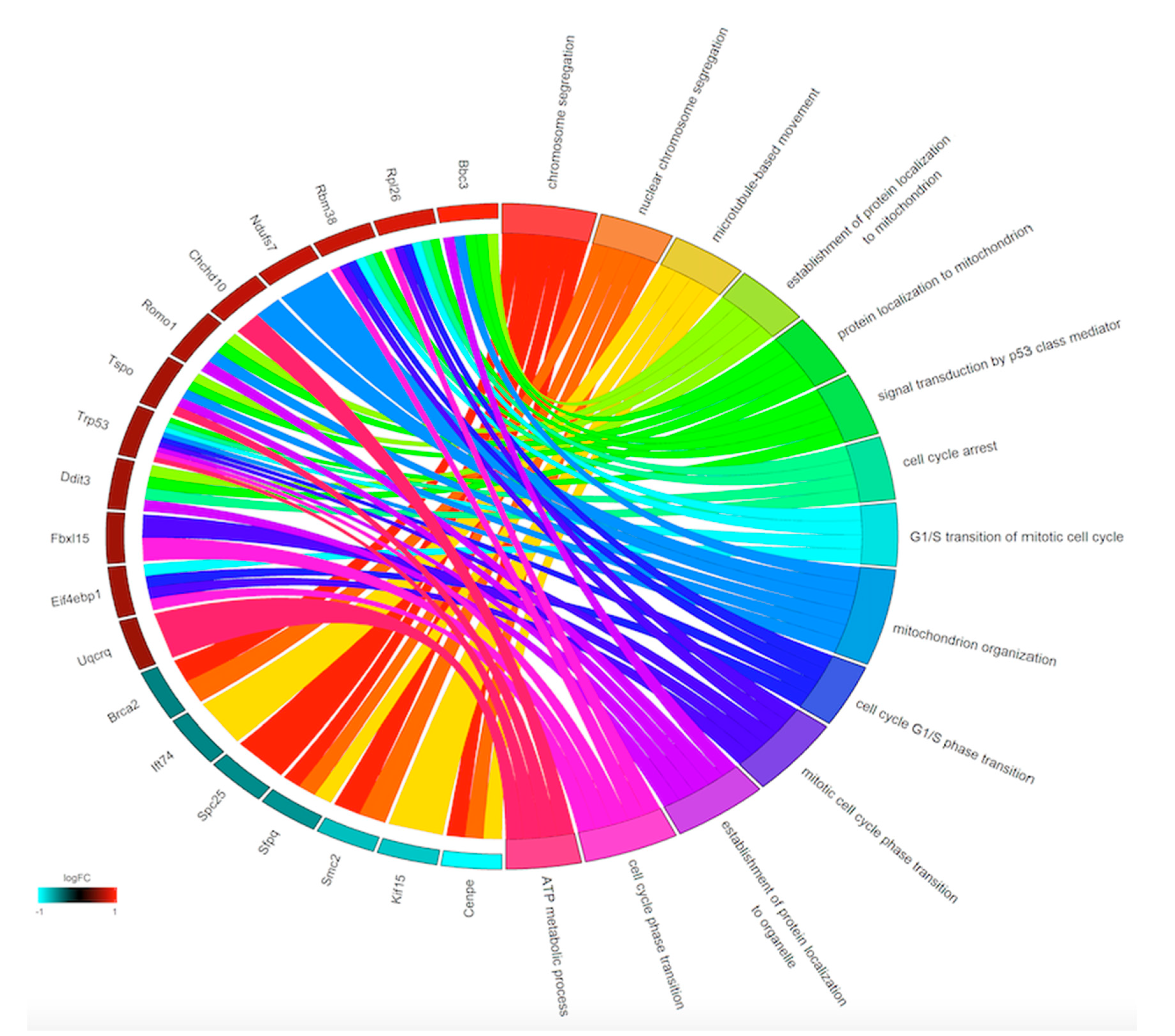 Viruses 12 01284 g003