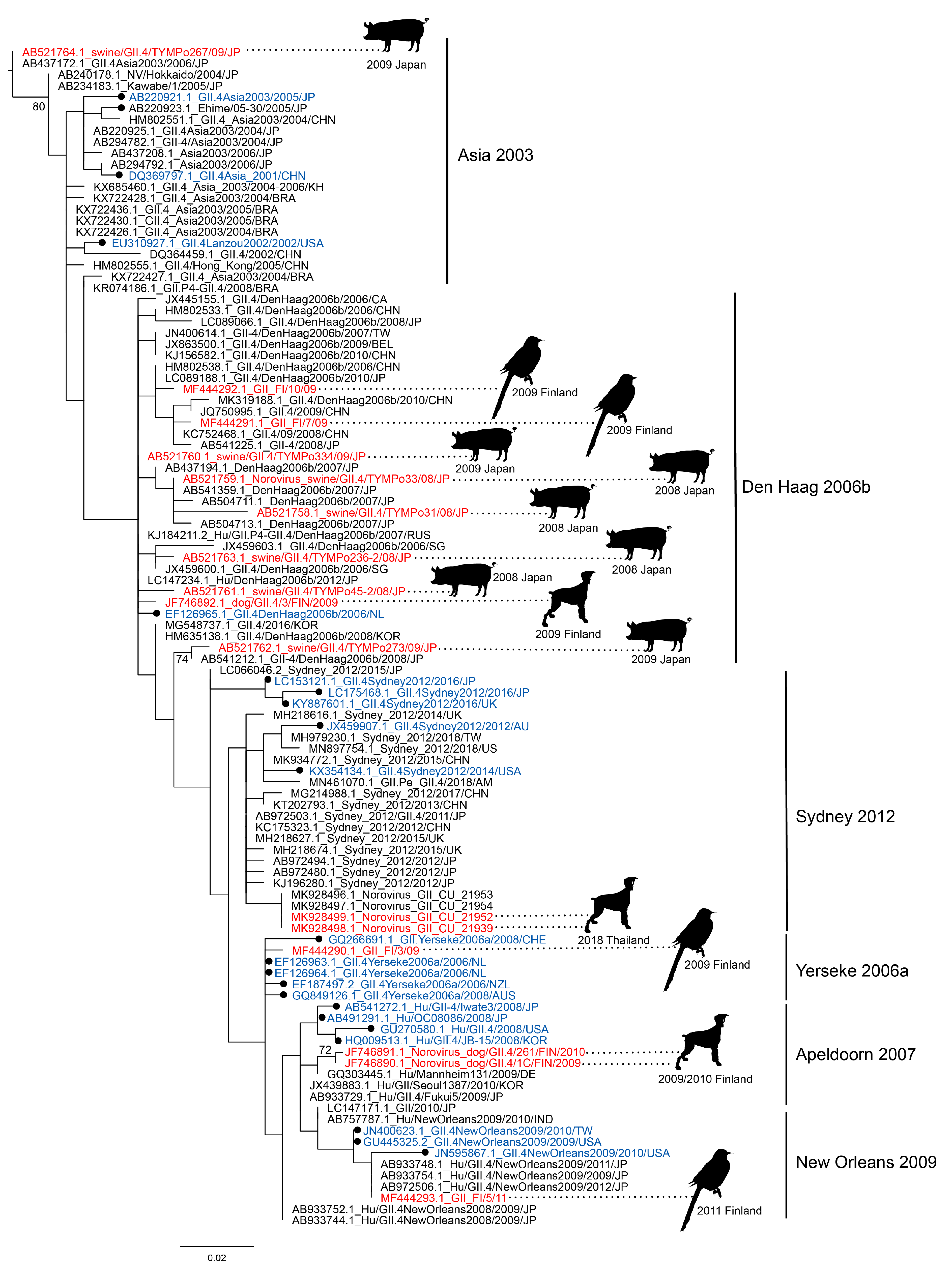 Viruses 12 01287 g001