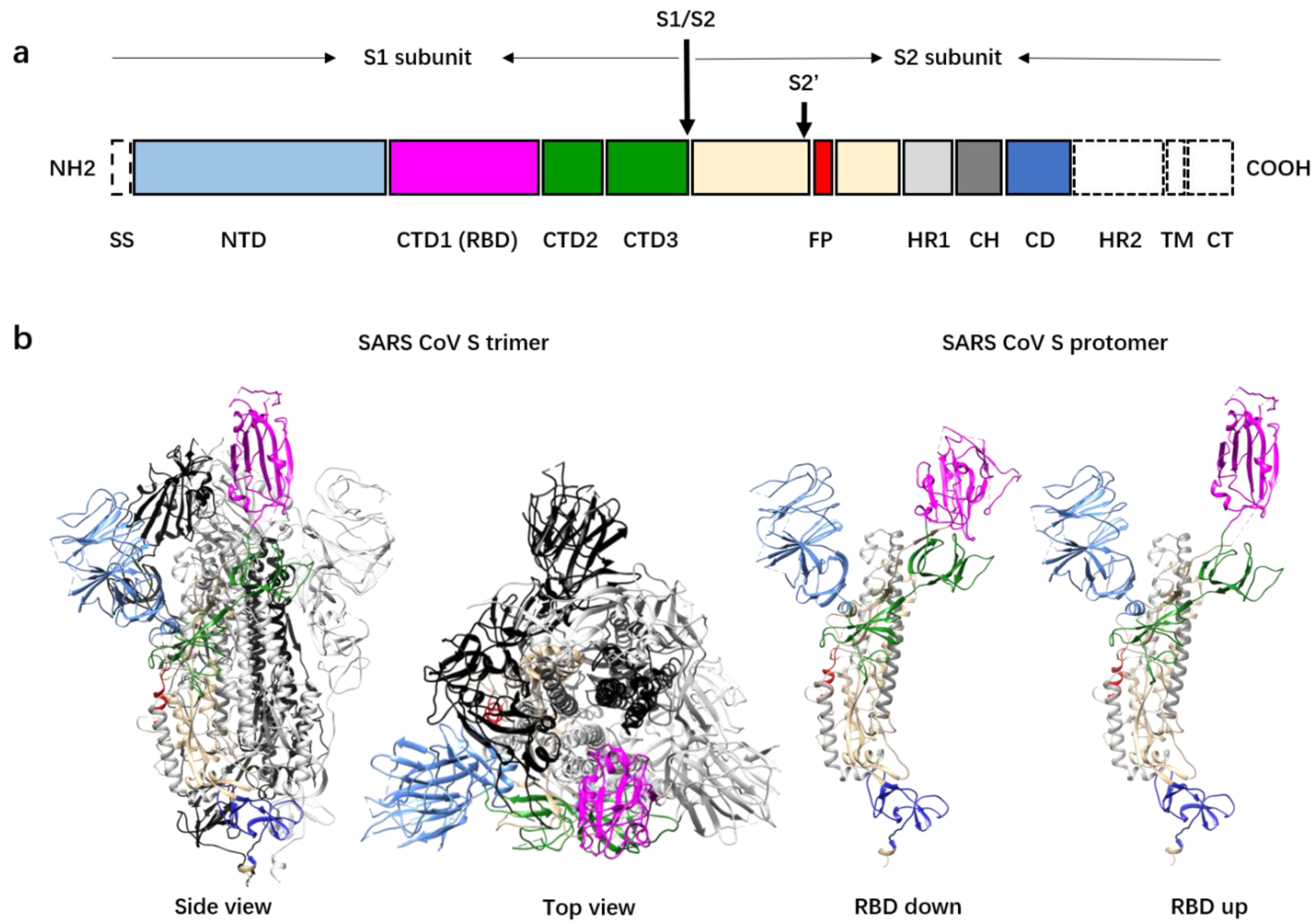 Viruses 12 01289 g001