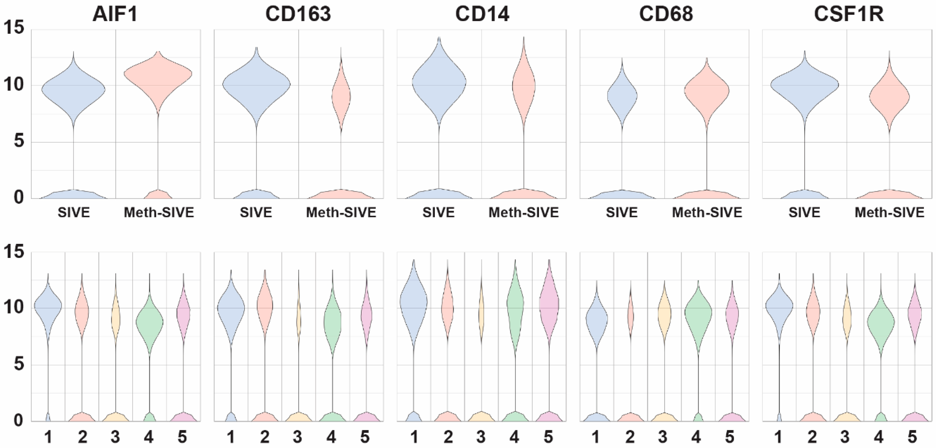 Viruses 12 01297 g005