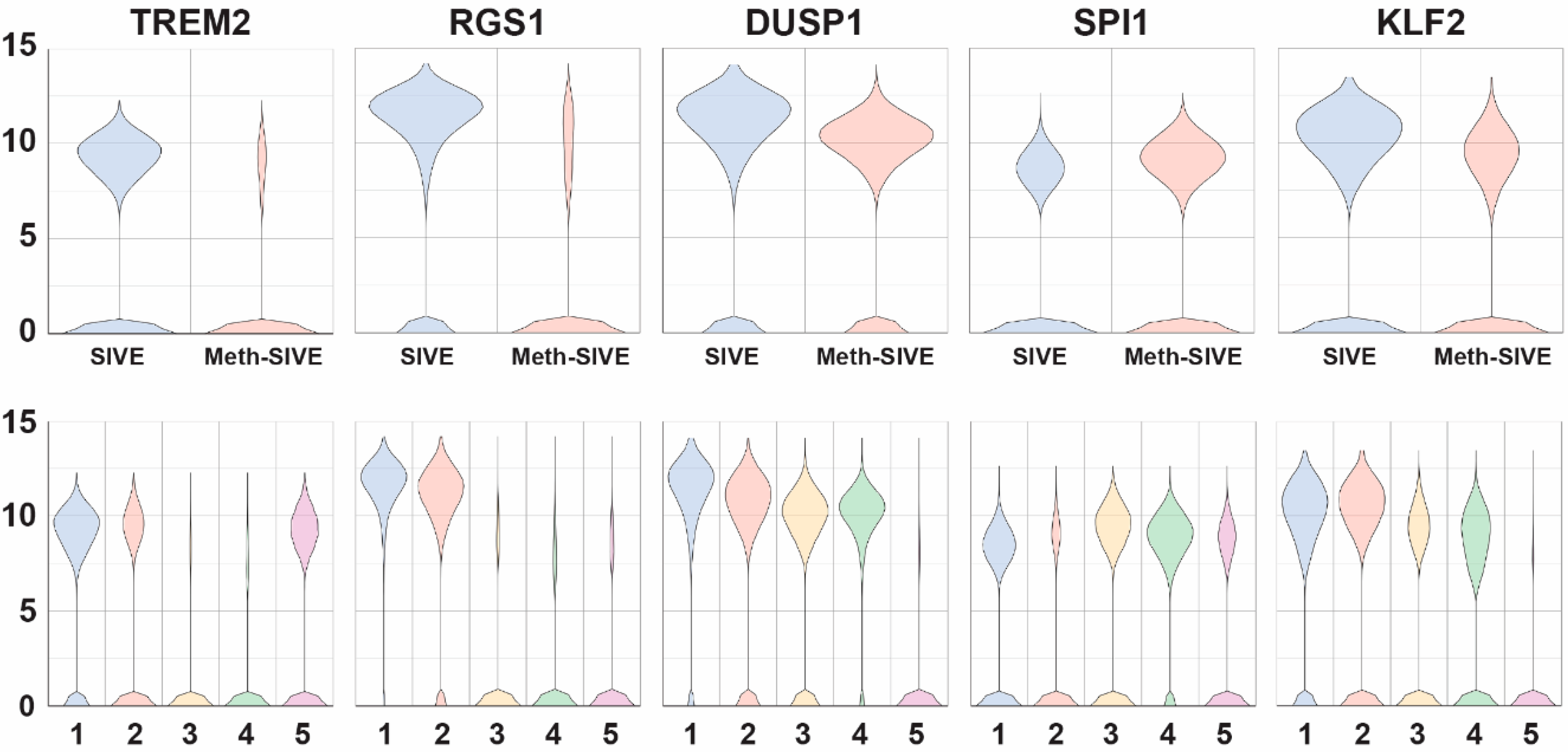 Viruses 12 01297 g007