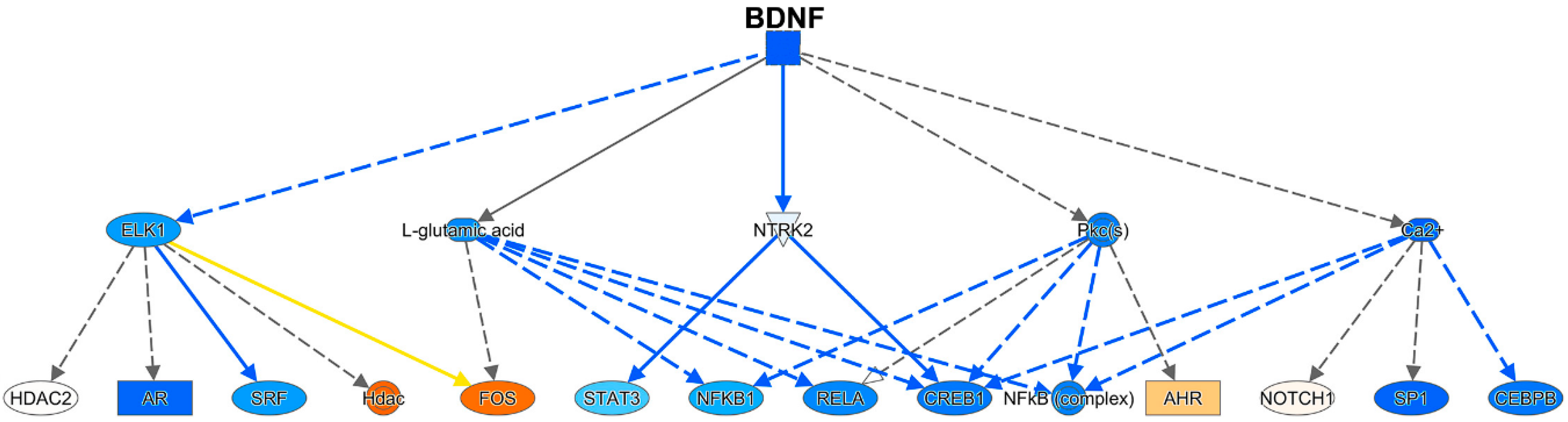 Viruses 12 01297 g008