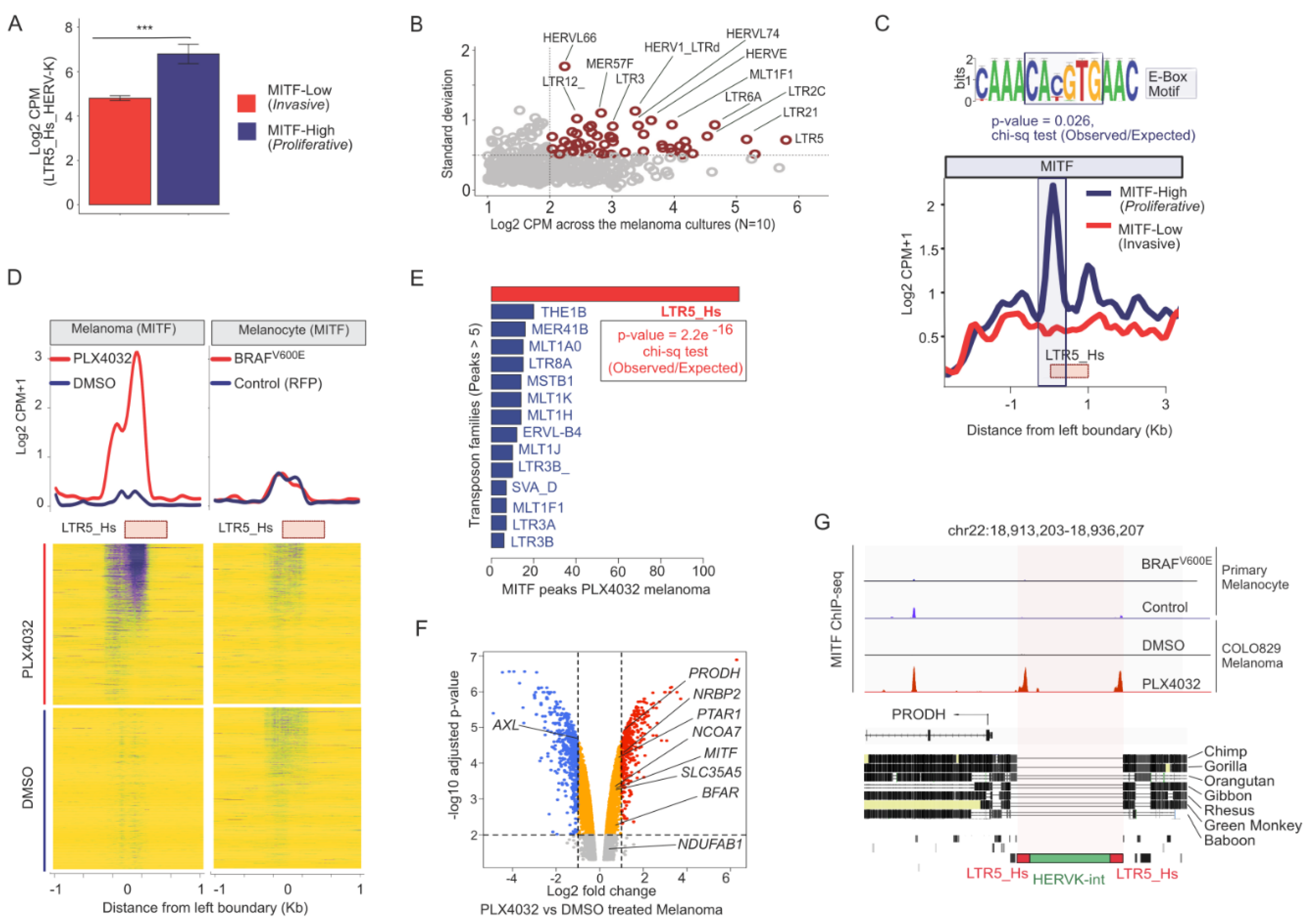 Viruses 12 01303 g002 Viruses 12 01303 g002
