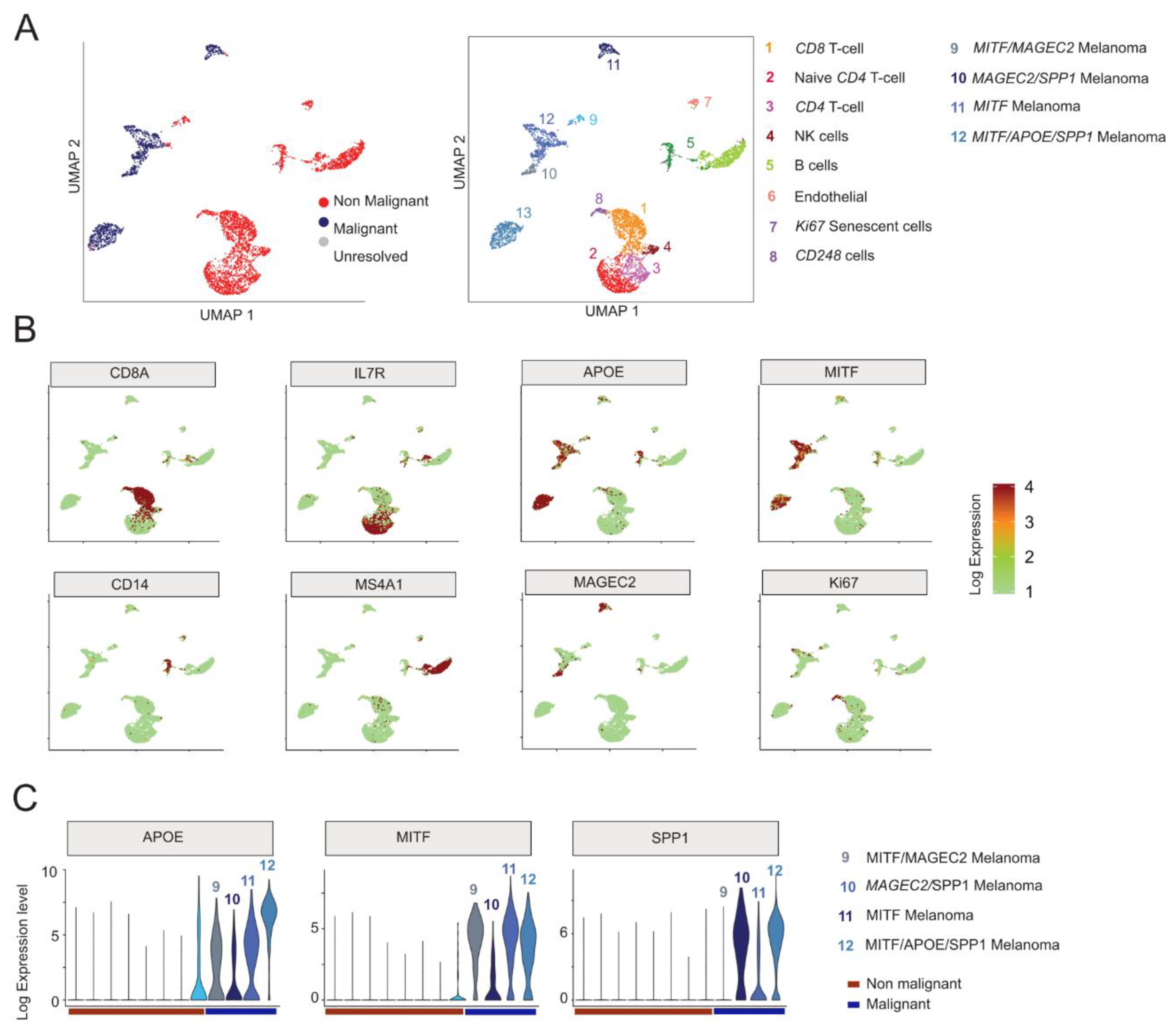 Viruses 12 01303 g006 Viruses 12 01303 g006