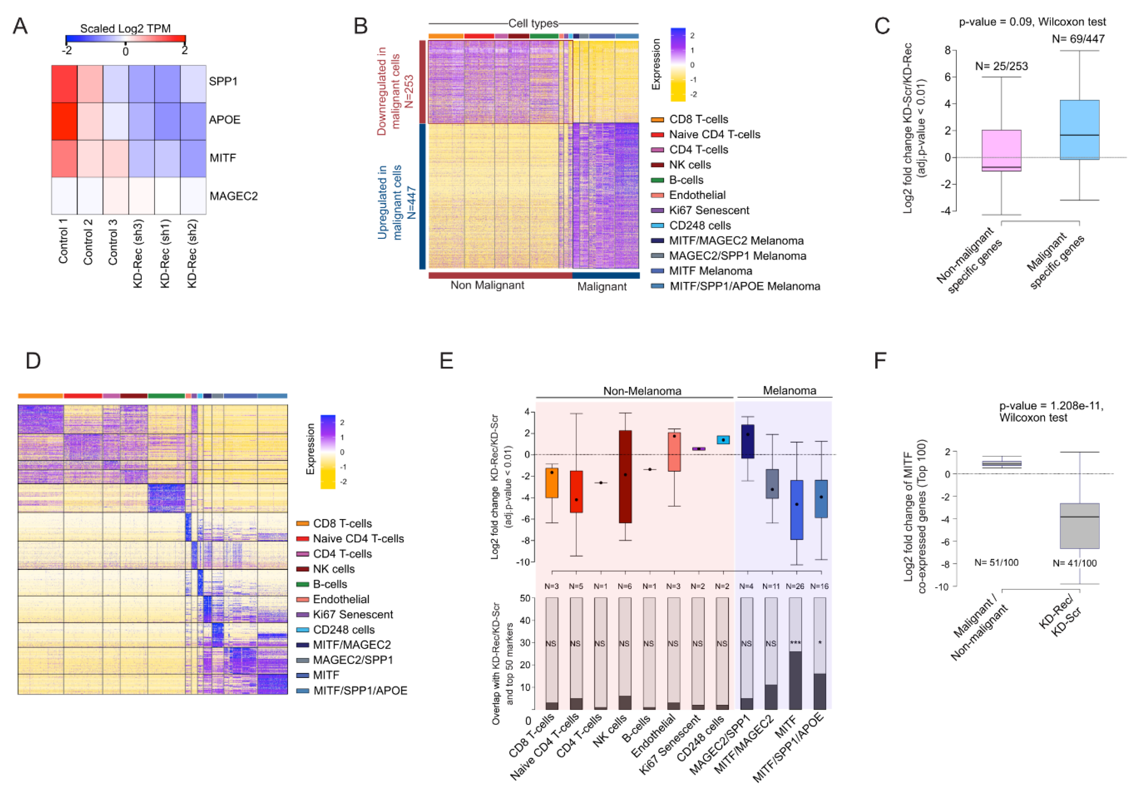 Viruses 12 01303 g007 Viruses 12 01303 g007