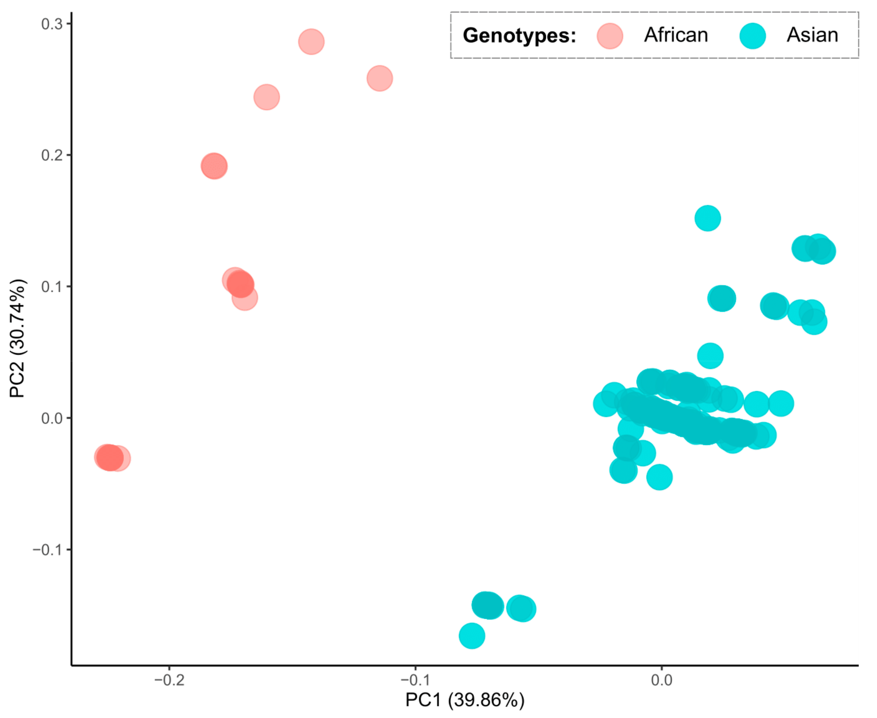 Viruses 12 01306 g003
