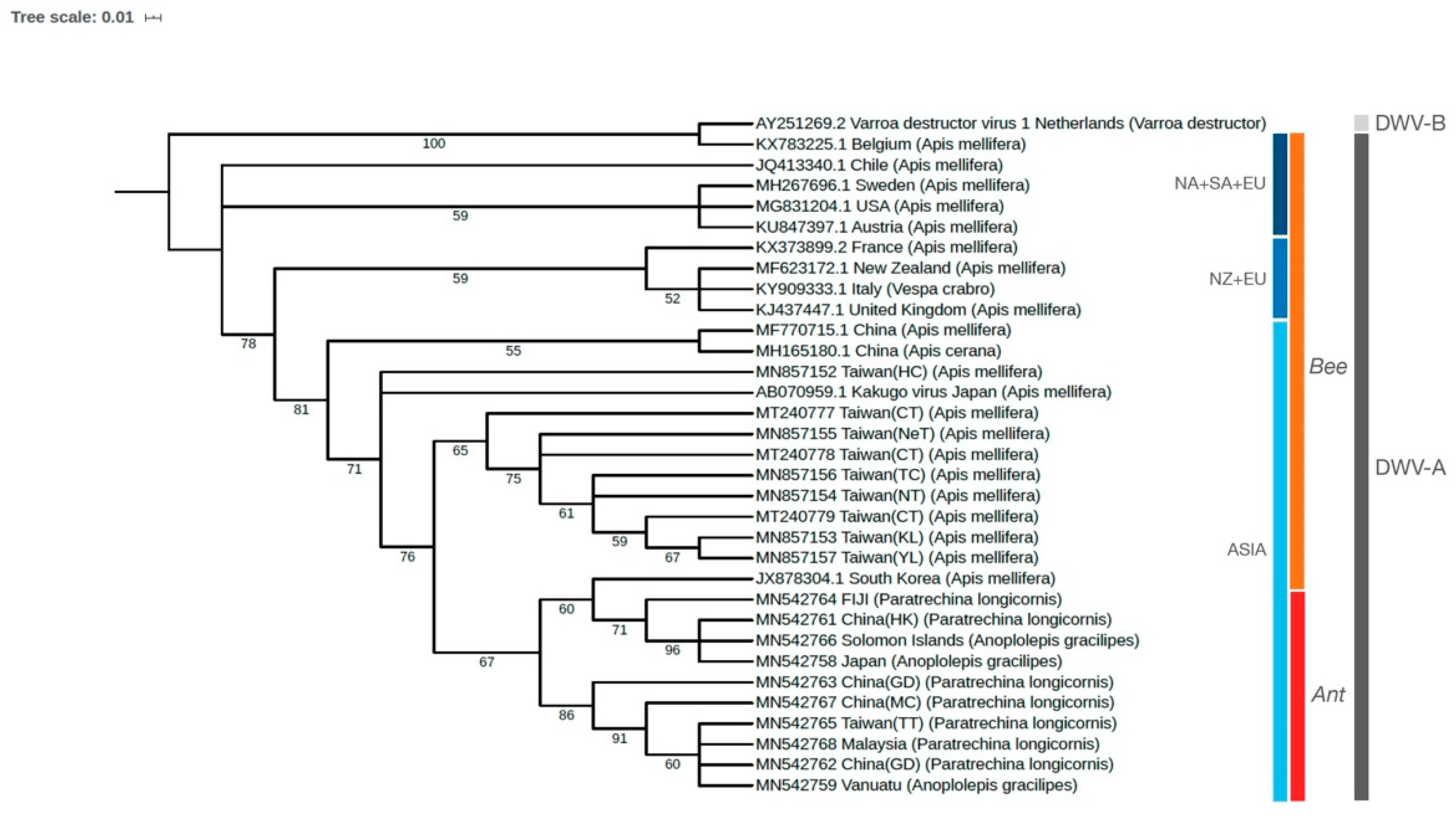 Viruses 12 01309 g002