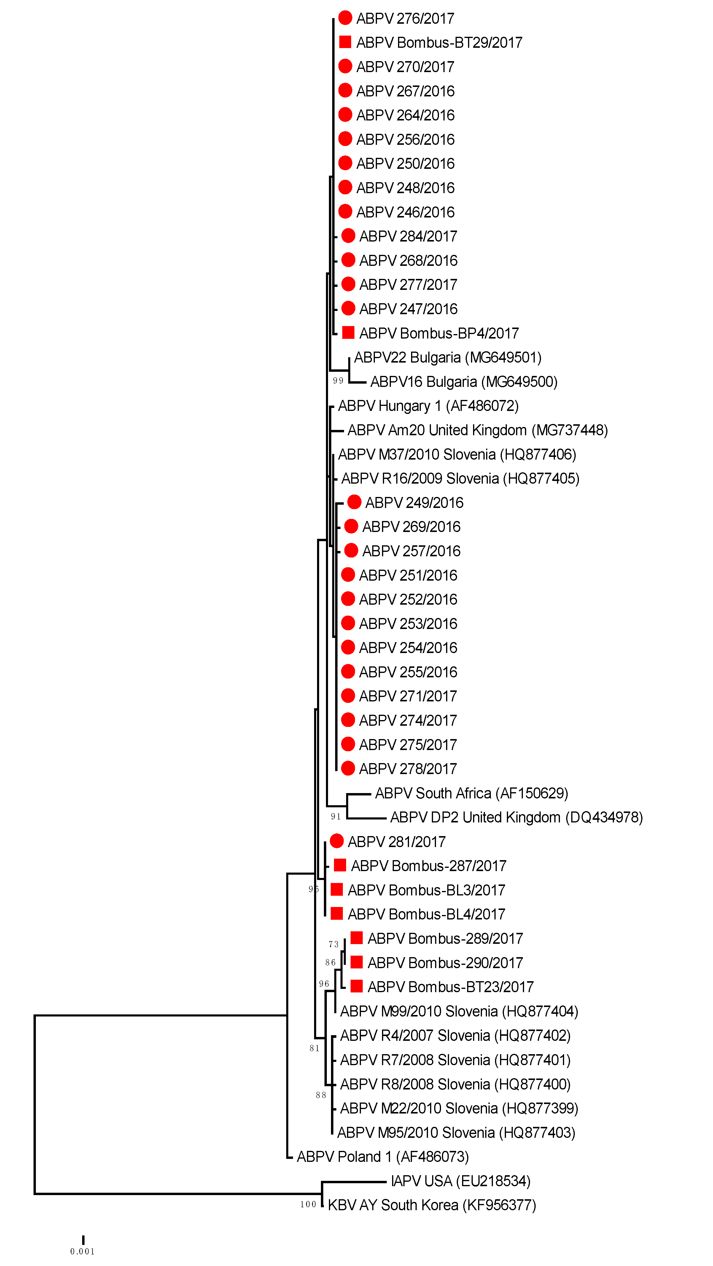 Viruses 12 01310 g002