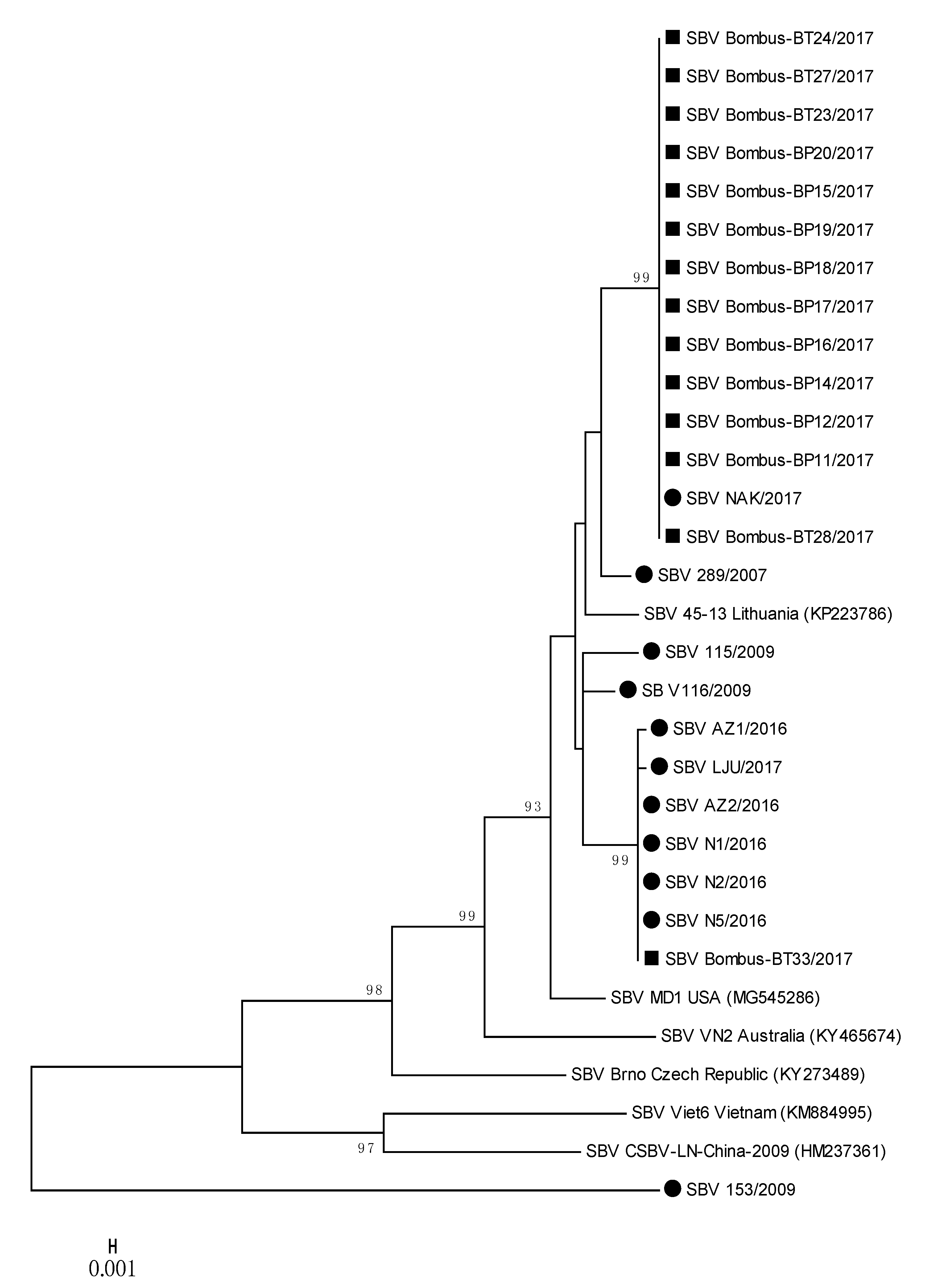 Viruses 12 01310 g004