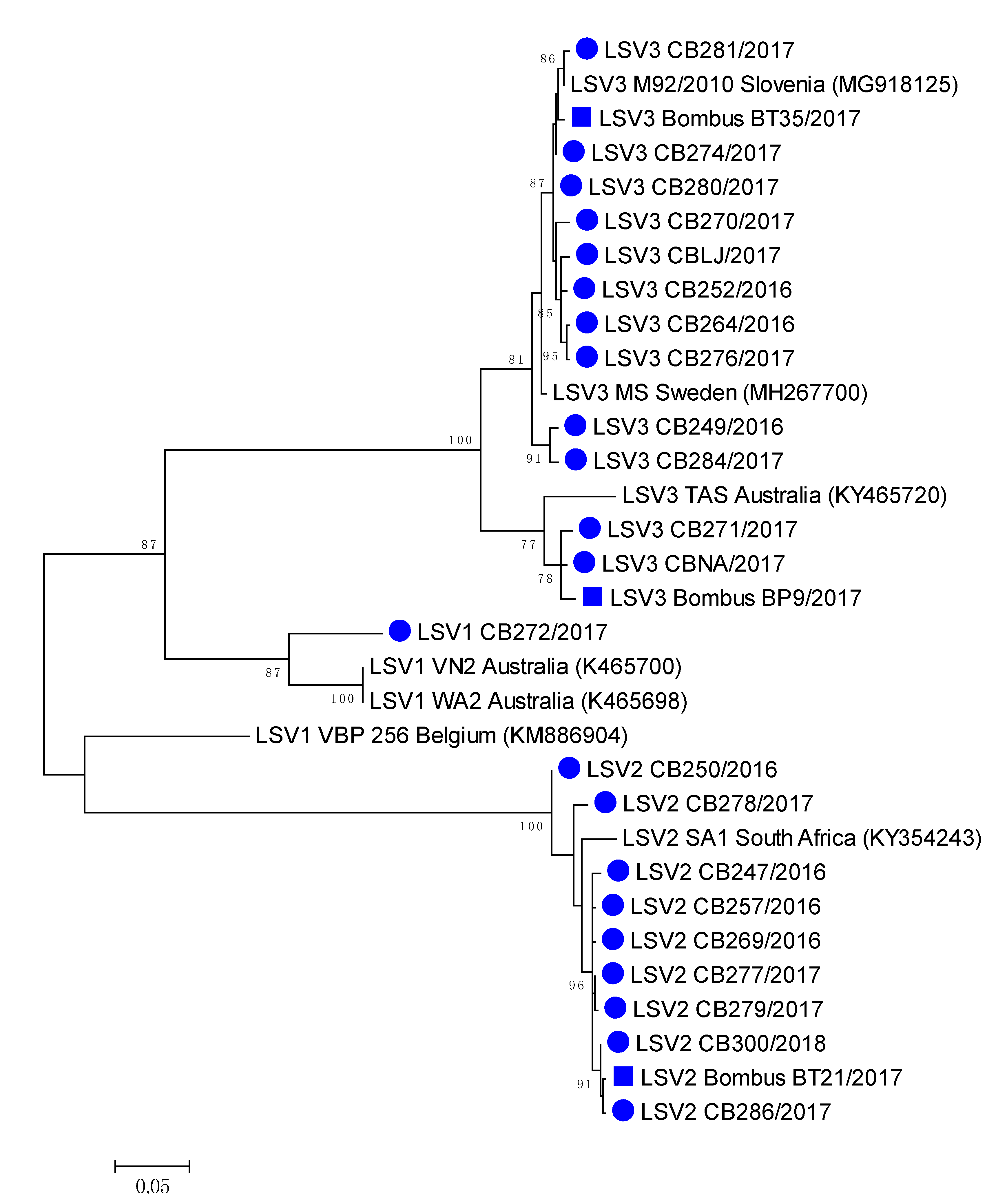 Viruses 12 01310 g005