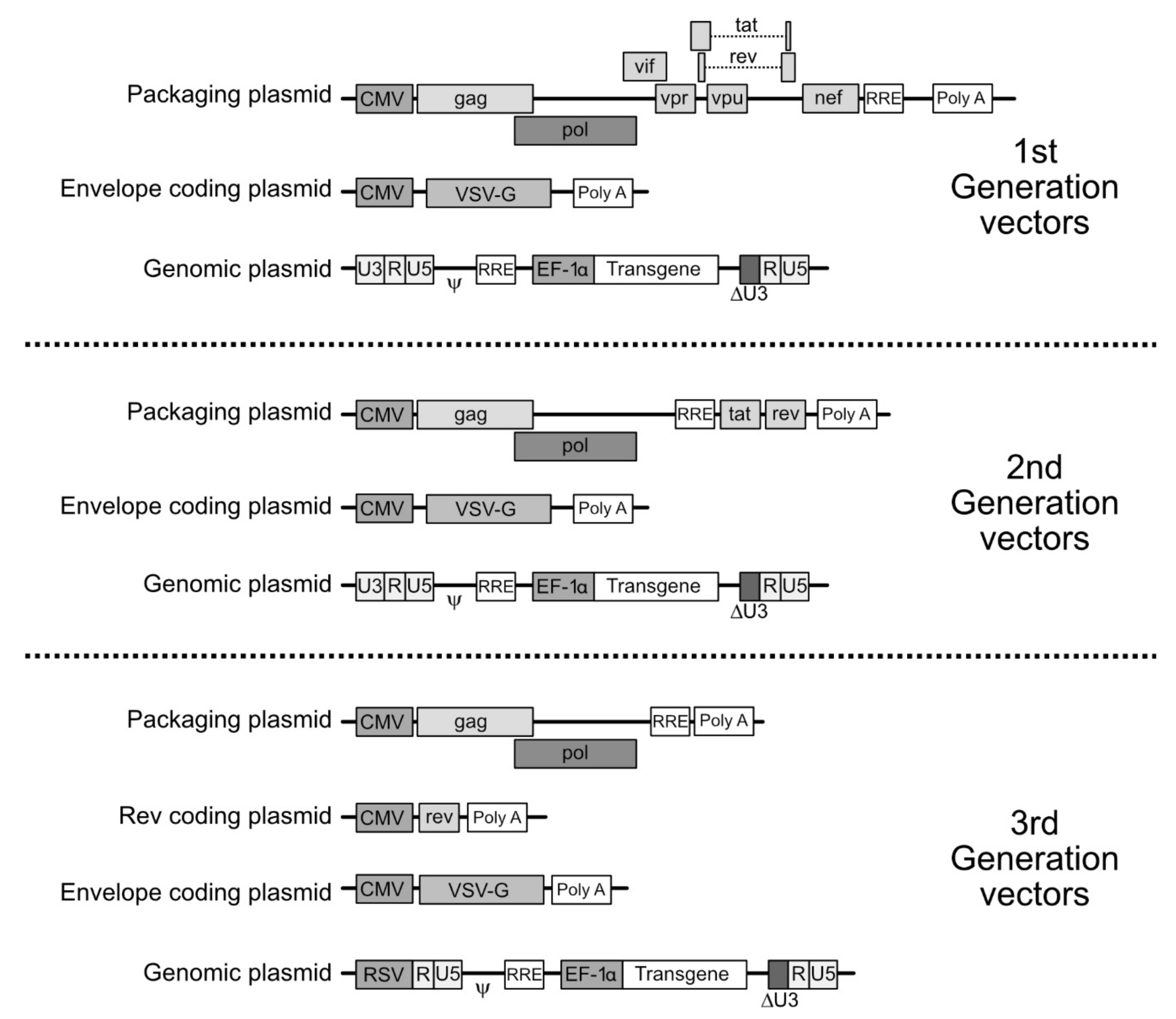 Viruses 12 01311 g003