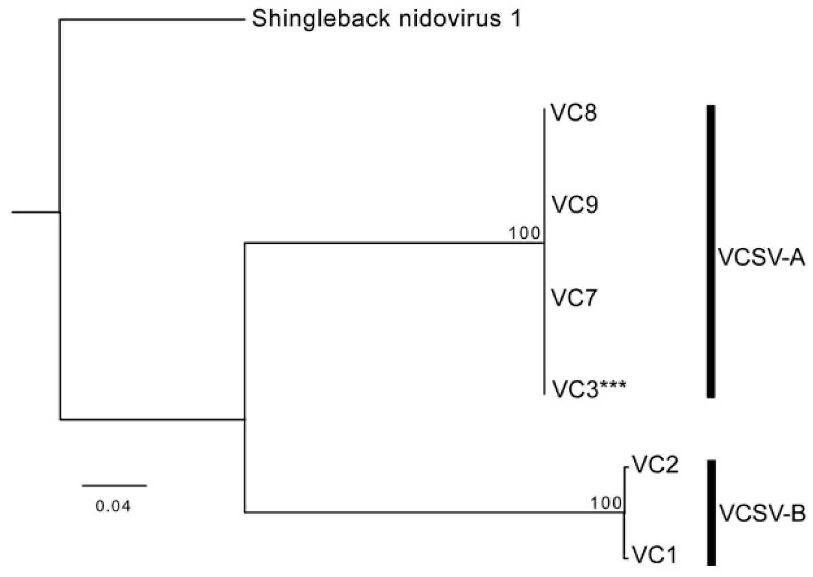 Viruses 12 01329 g004 Viruses 12 01329 g004