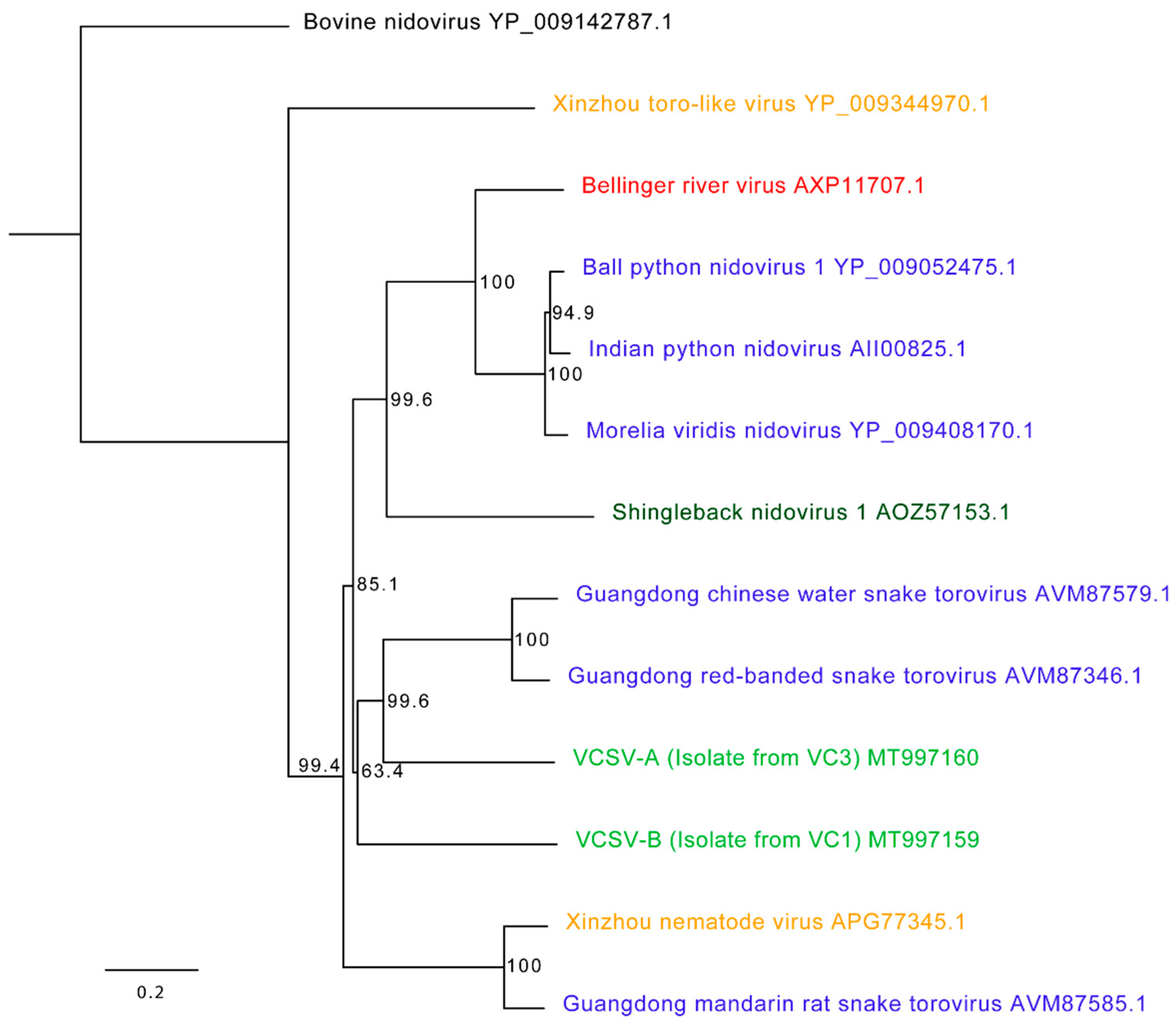 Viruses 12 01329 g005 Viruses 12 01329 g005