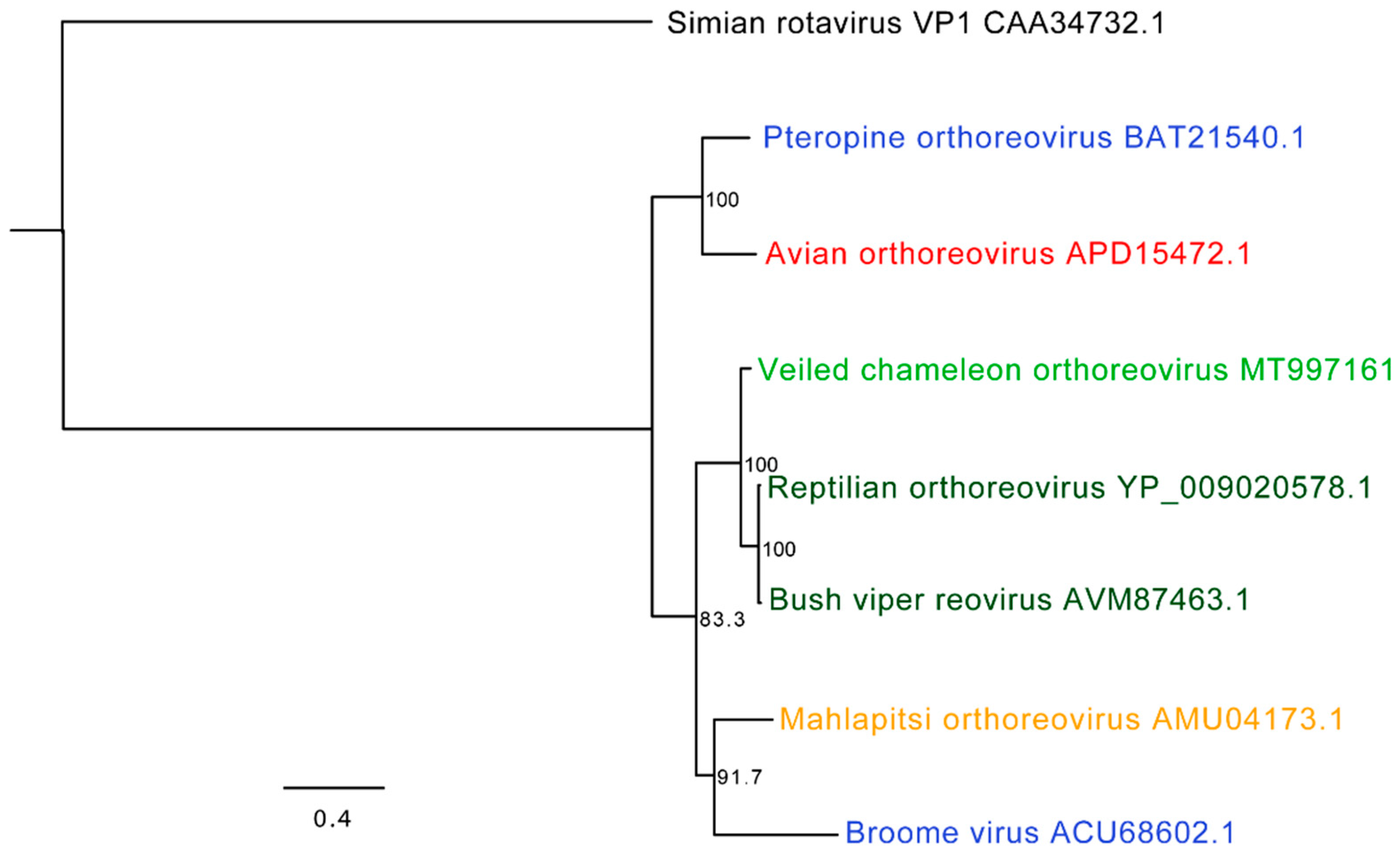 Viruses 12 01329 g006 Viruses 12 01329 g006