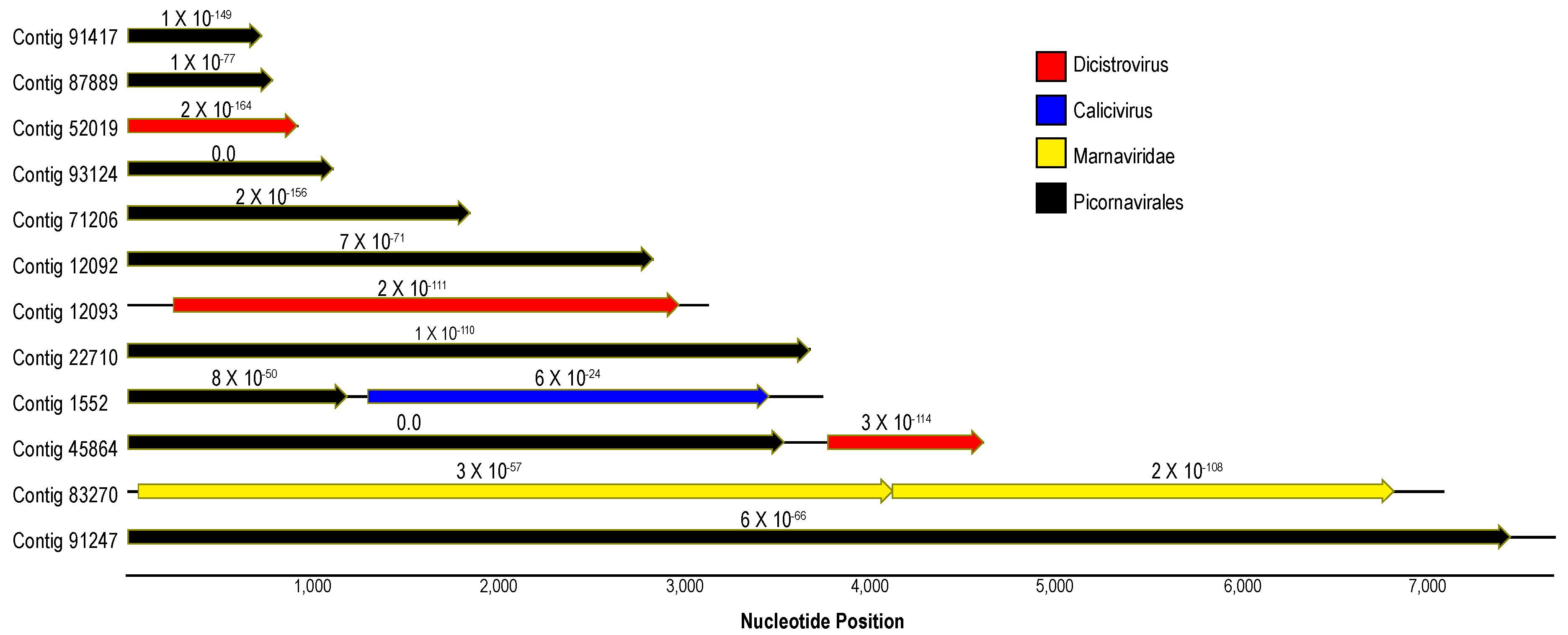 Viruses 12 01332 g003 Viruses 12 01332 g003